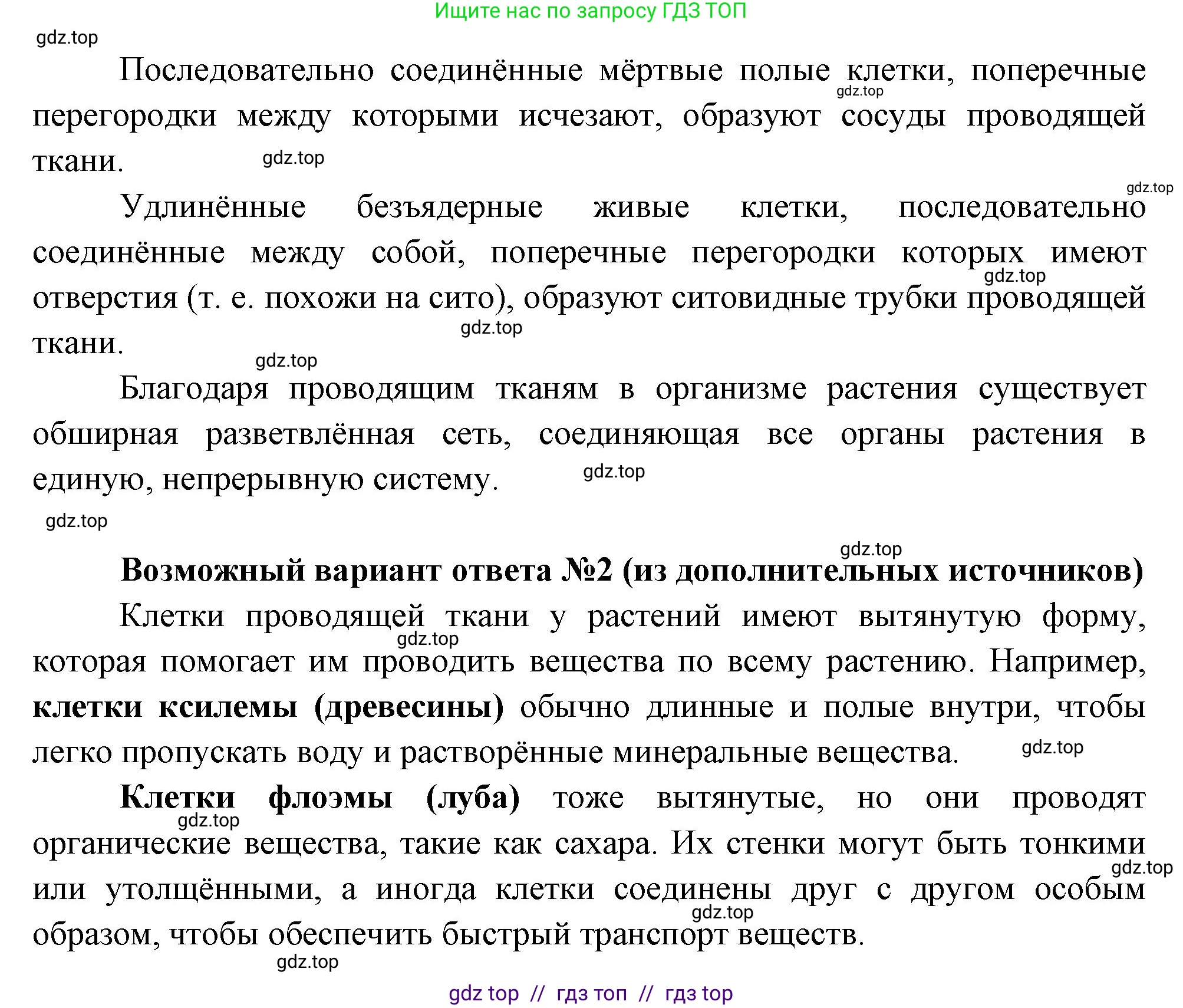 Биология, 6 класс Учебник, авторы: Пасечник Владимир Васильевич, Суматохин Сергей Витальевич, Гапонюк Зоя Георгиевна, Швецов Глеб Геннадьевич, издательство Просвещение, Москва, 2023, белого цвета, страница 32, номер 3, Решение 3 (продолжение 2)