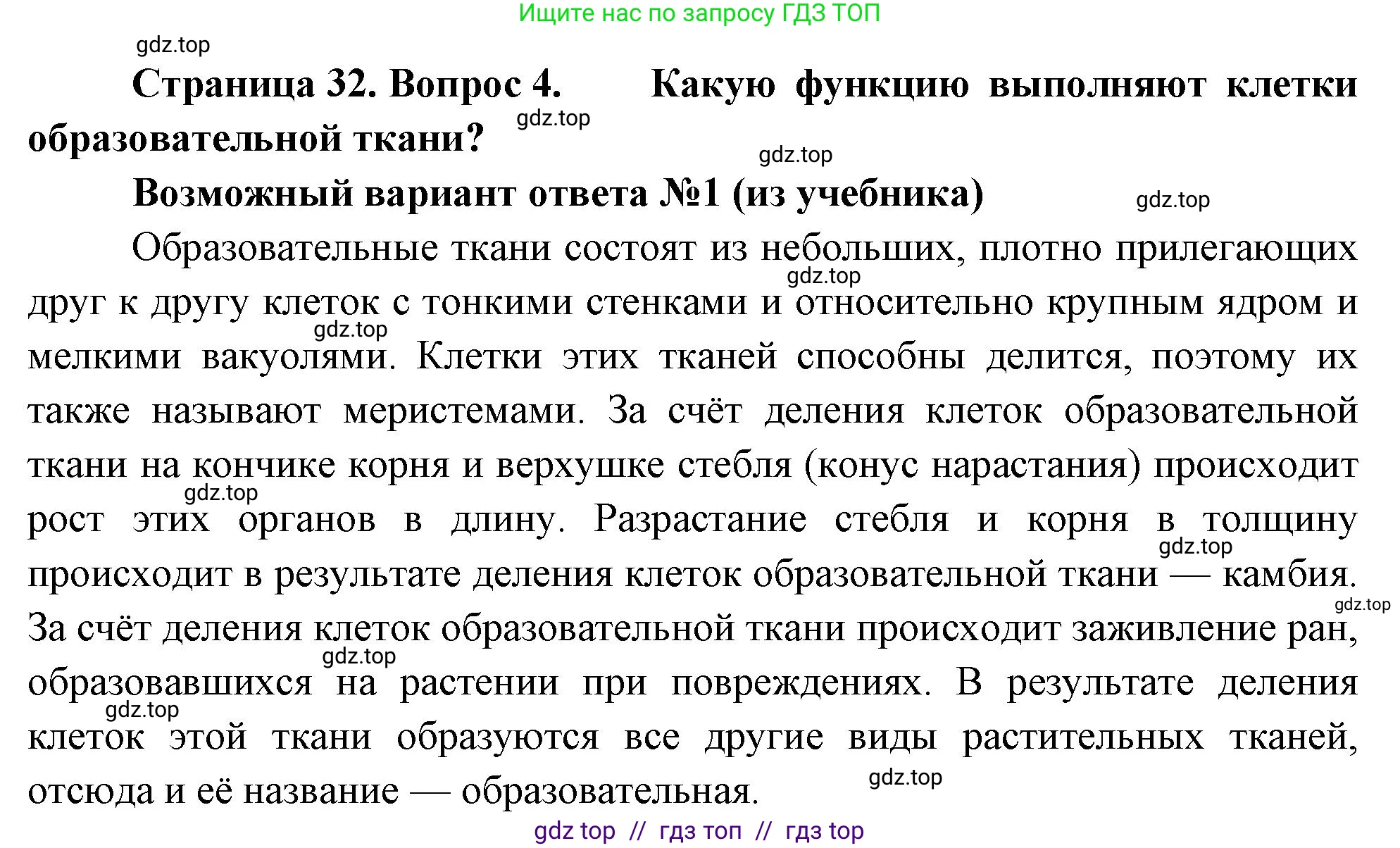 Биология, 6 класс Учебник, авторы: Пасечник Владимир Васильевич, Суматохин Сергей Витальевич, Гапонюк Зоя Георгиевна, Швецов Глеб Геннадьевич, издательство Просвещение, Москва, 2023, белого цвета, страница 32, номер 4, Решение 3
