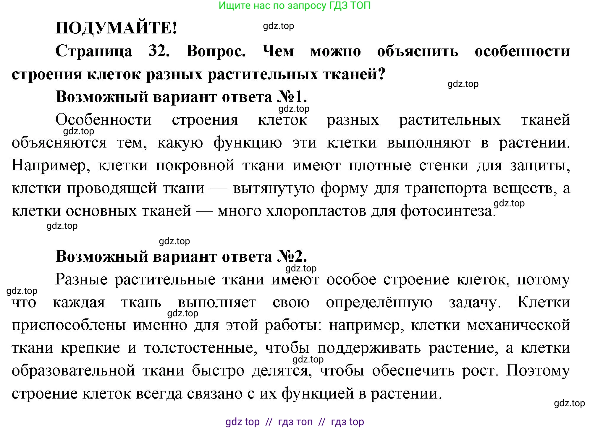 Биология, 6 класс Учебник, авторы: Пасечник Владимир Васильевич, Суматохин Сергей Витальевич, Гапонюк Зоя Георгиевна, Швецов Глеб Геннадьевич, издательство Просвещение, Москва, 2023, белого цвета, страница 32, Решение 3