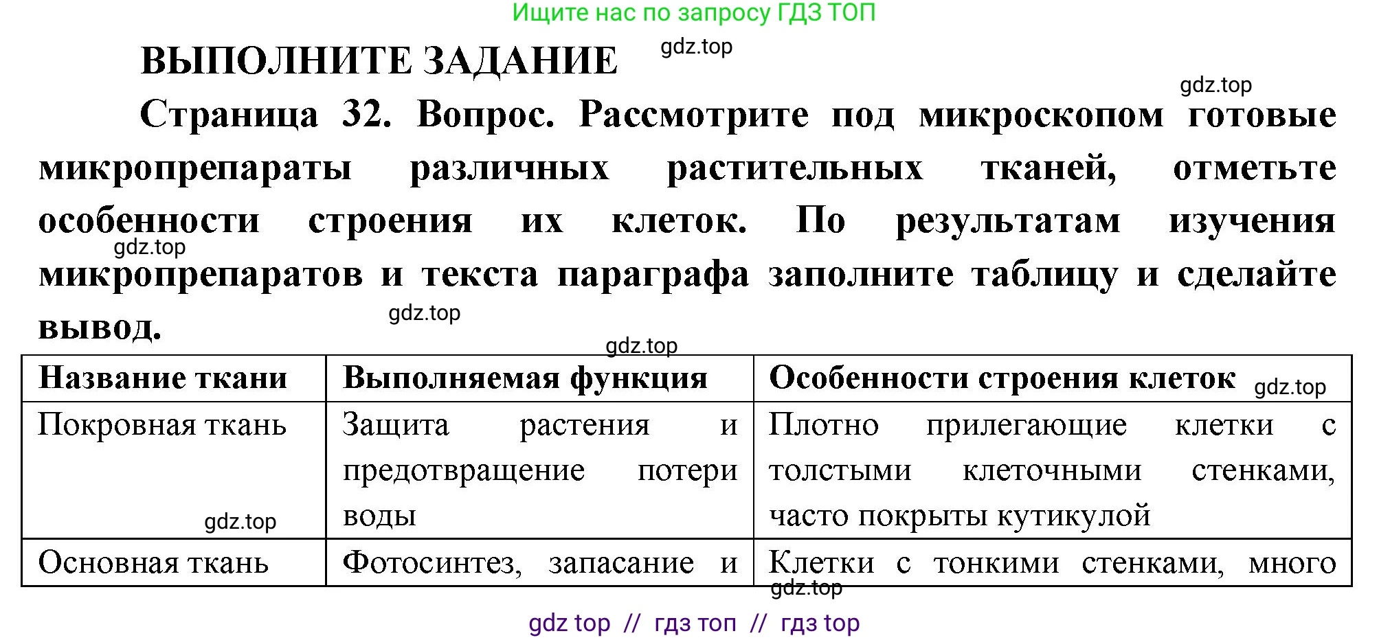Биология, 6 класс Учебник, авторы: Пасечник Владимир Васильевич, Суматохин Сергей Витальевич, Гапонюк Зоя Георгиевна, Швецов Глеб Геннадьевич, издательство Просвещение, Москва, 2023, белого цвета, страница 32, Решение 3