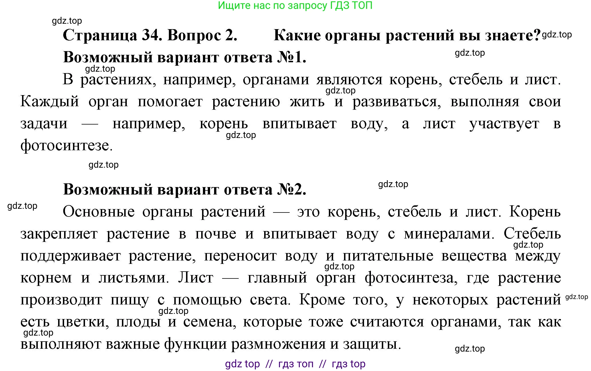 Биология, 6 класс Учебник, авторы: Пасечник Владимир Васильевич, Суматохин Сергей Витальевич, Гапонюк Зоя Георгиевна, Швецов Глеб Геннадьевич, издательство Просвещение, Москва, 2023, белого цвета, страница 34, номер 2, Решение 3