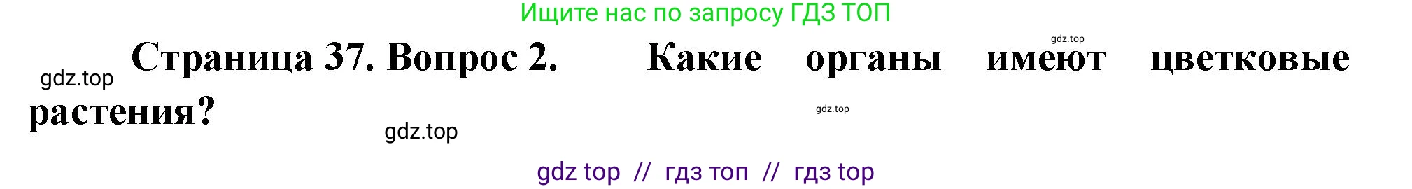 Биология, 6 класс Учебник, авторы: Пасечник Владимир Васильевич, Суматохин Сергей Витальевич, Гапонюк Зоя Георгиевна, Швецов Глеб Геннадьевич, издательство Просвещение, Москва, 2023, белого цвета, страница 37, номер 2, Решение 3