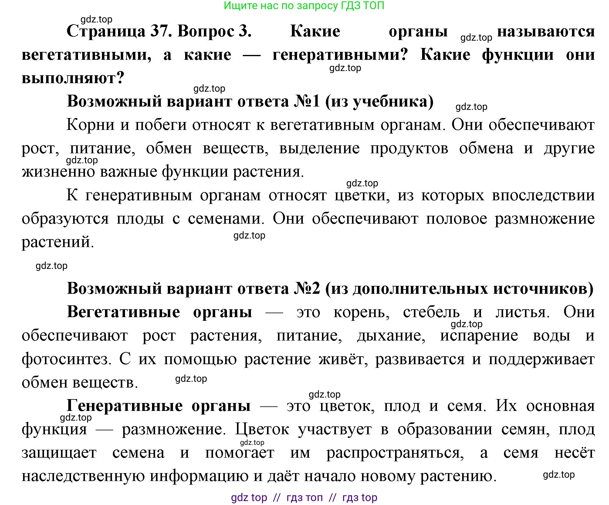 Биология, 6 класс Учебник, авторы: Пасечник Владимир Васильевич, Суматохин Сергей Витальевич, Гапонюк Зоя Георгиевна, Швецов Глеб Геннадьевич, издательство Просвещение, Москва, 2023, белого цвета, страница 37, номер 3, Решение 3