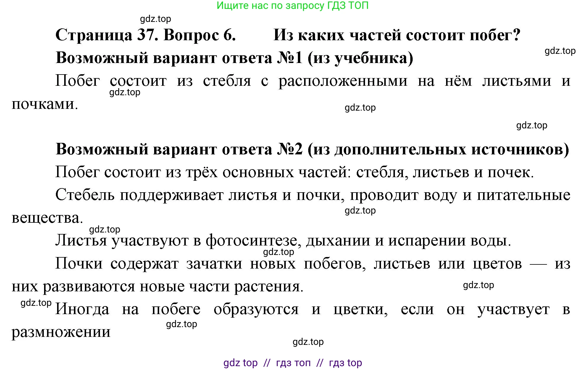 Биология, 6 класс Учебник, авторы: Пасечник Владимир Васильевич, Суматохин Сергей Витальевич, Гапонюк Зоя Георгиевна, Швецов Глеб Геннадьевич, издательство Просвещение, Москва, 2023, белого цвета, страница 37, номер 6, Решение 3
