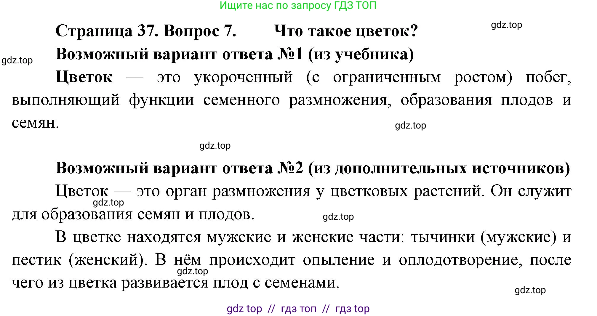 Биология, 6 класс Учебник, авторы: Пасечник Владимир Васильевич, Суматохин Сергей Витальевич, Гапонюк Зоя Георгиевна, Швецов Глеб Геннадьевич, издательство Просвещение, Москва, 2023, белого цвета, страница 37, номер 7, Решение 3