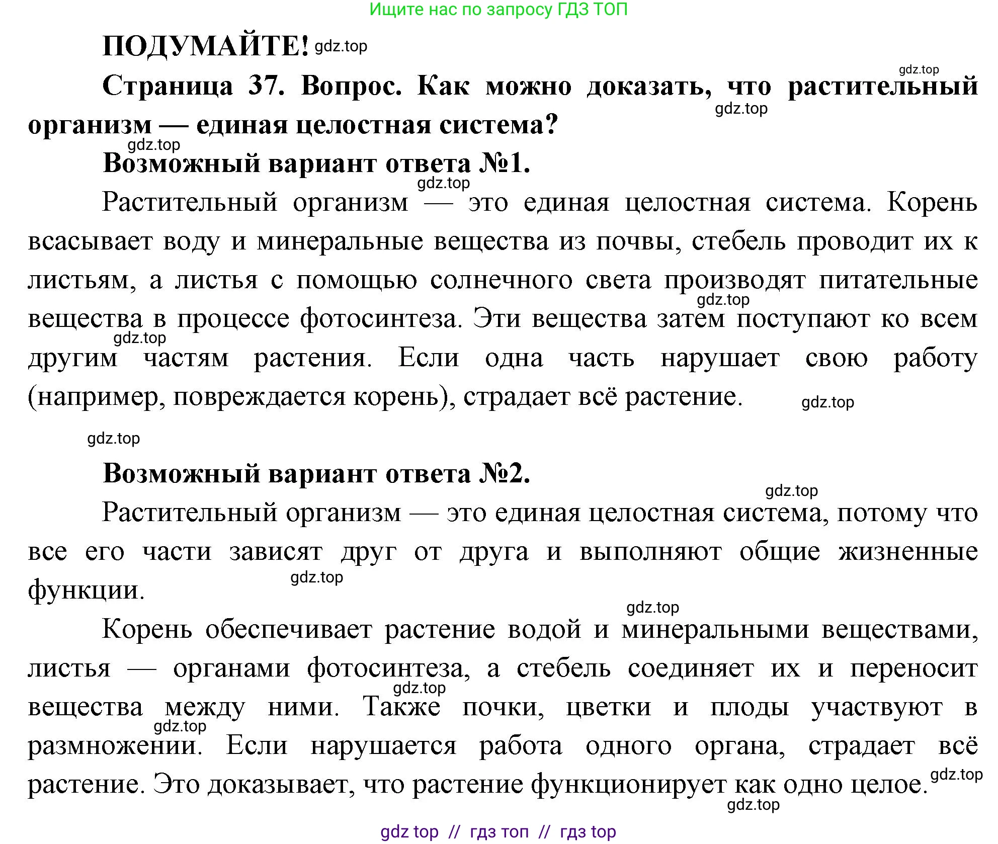 Биология, 6 класс Учебник, авторы: Пасечник Владимир Васильевич, Суматохин Сергей Витальевич, Гапонюк Зоя Георгиевна, Швецов Глеб Геннадьевич, издательство Просвещение, Москва, 2023, белого цвета, страница 37, Решение 3