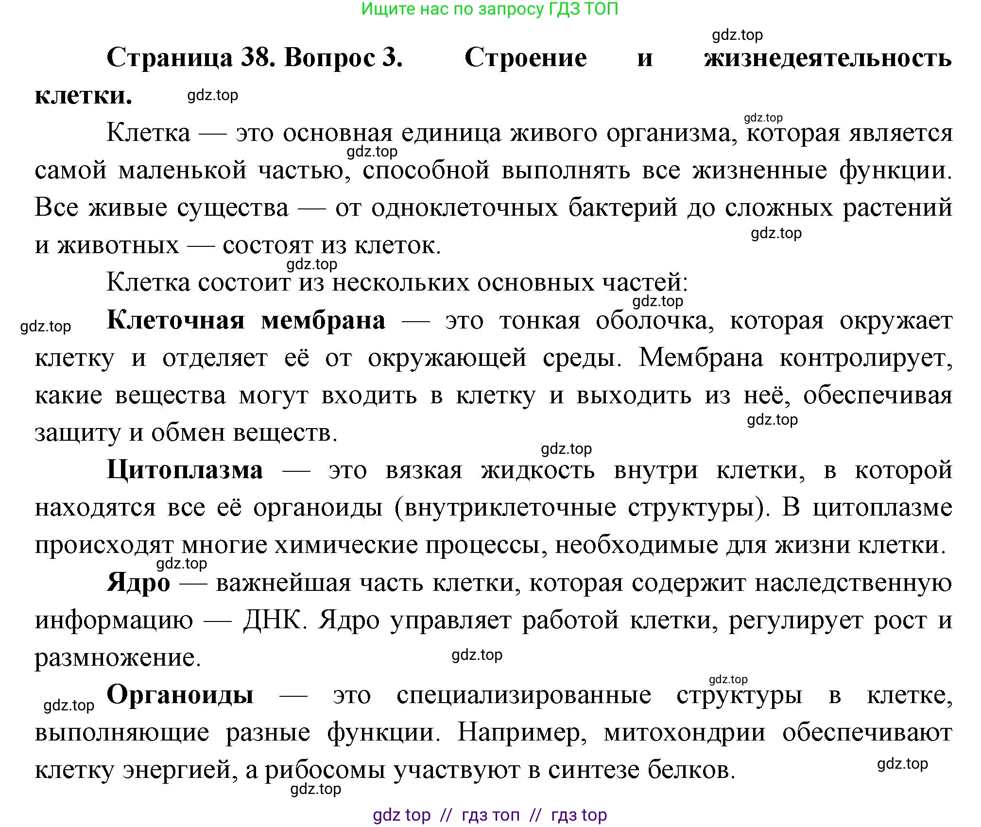 Биология, 6 класс Учебник, авторы: Пасечник Владимир Васильевич, Суматохин Сергей Витальевич, Гапонюк Зоя Георгиевна, Швецов Глеб Геннадьевич, издательство Просвещение, Москва, 2023, белого цвета, страница 38, номер 3, Решение 3