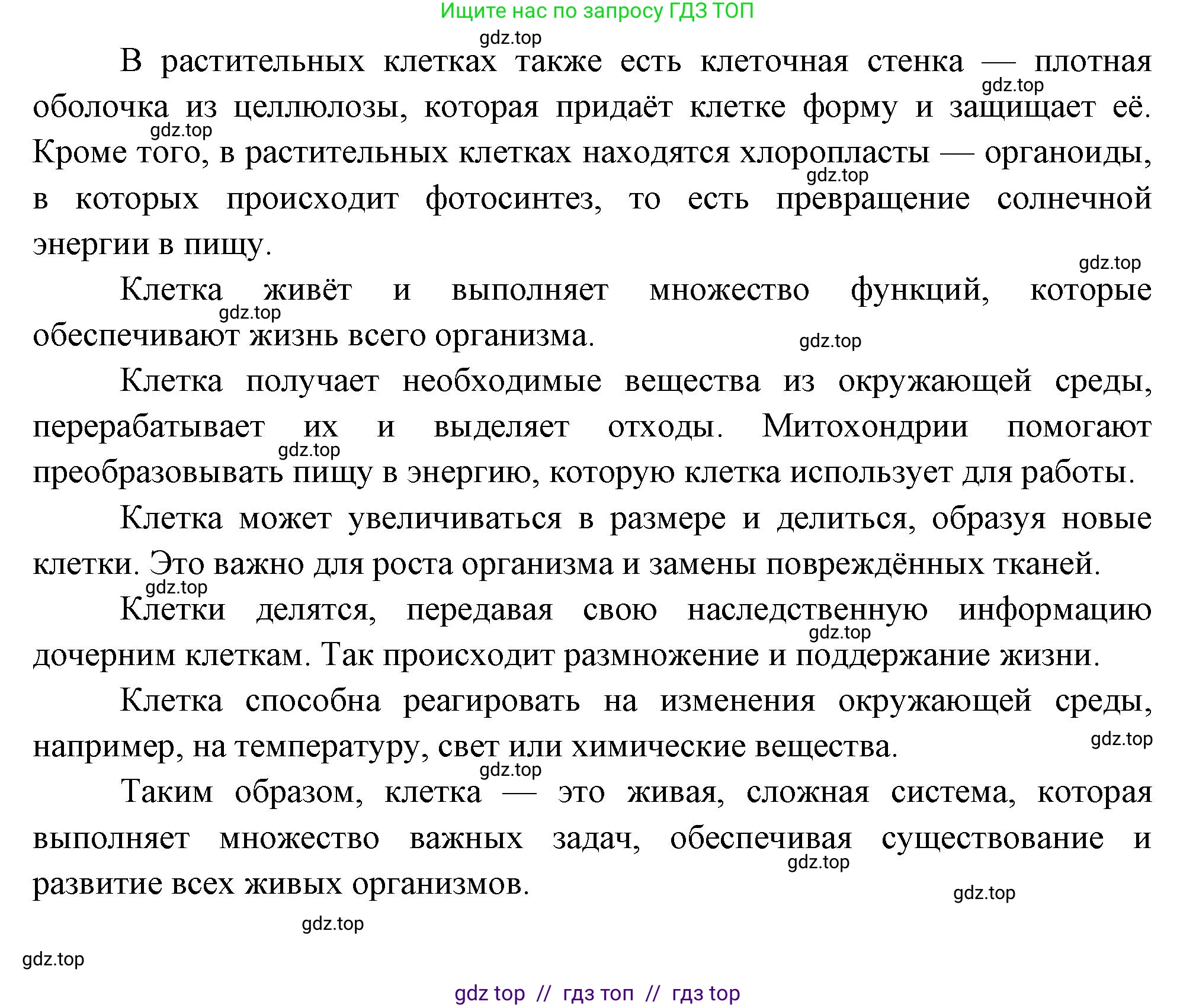 Биология, 6 класс Учебник, авторы: Пасечник Владимир Васильевич, Суматохин Сергей Витальевич, Гапонюк Зоя Георгиевна, Швецов Глеб Геннадьевич, издательство Просвещение, Москва, 2023, белого цвета, страница 38, номер 3, Решение 3 (продолжение 2)