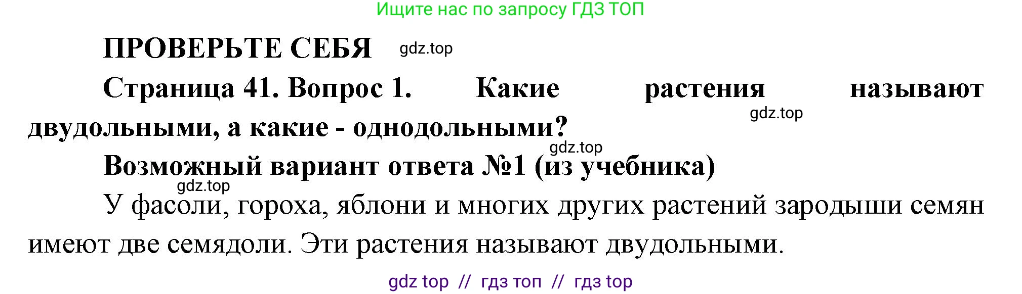 Биология, 6 класс Учебник, авторы: Пасечник Владимир Васильевич, Суматохин Сергей Витальевич, Гапонюк Зоя Георгиевна, Швецов Глеб Геннадьевич, издательство Просвещение, Москва, 2023, белого цвета, страница 41, номер 1, Решение 3
