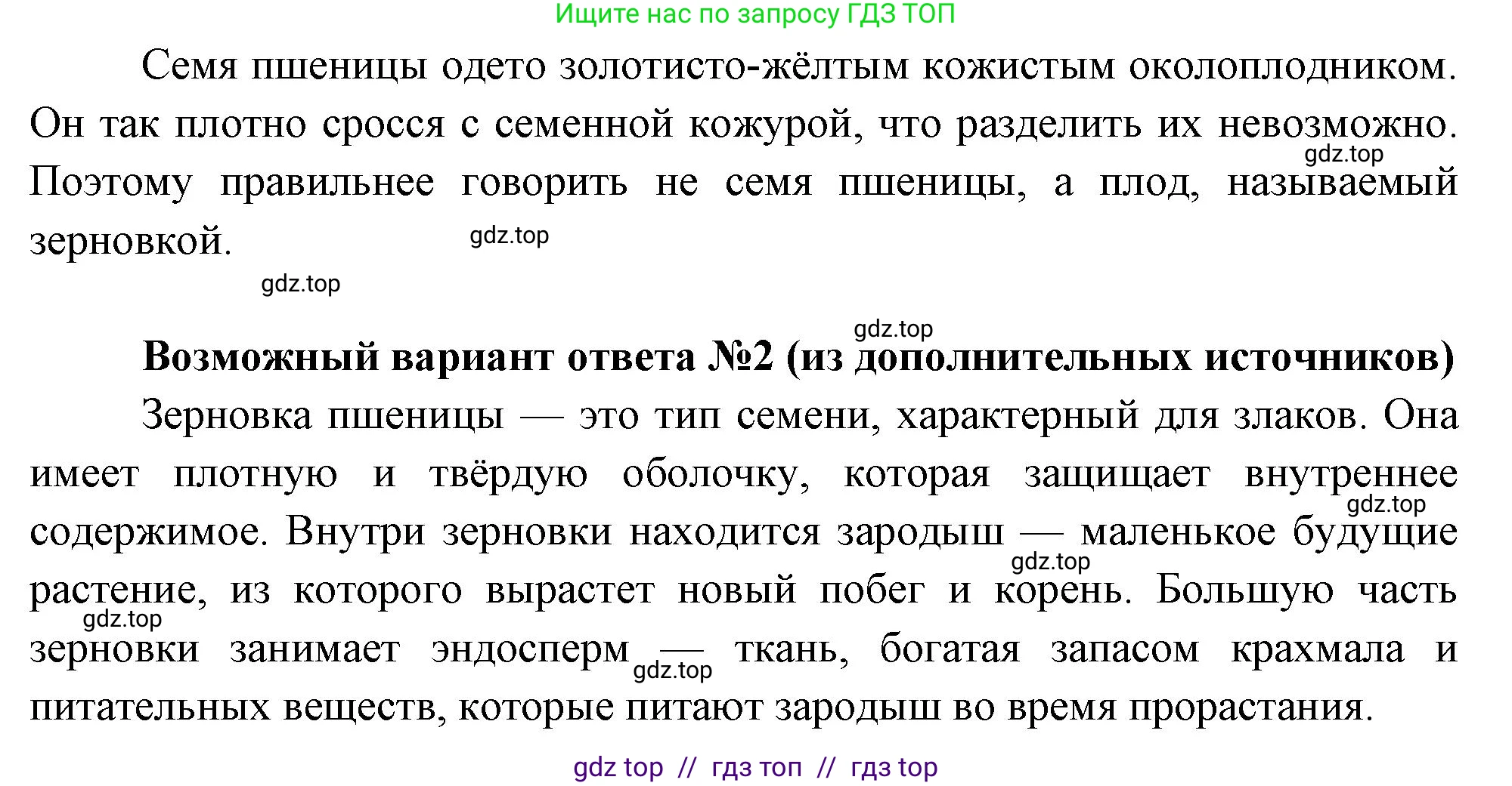 Биология, 6 класс Учебник, авторы: Пасечник Владимир Васильевич, Суматохин Сергей Витальевич, Гапонюк Зоя Георгиевна, Швецов Глеб Геннадьевич, издательство Просвещение, Москва, 2023, белого цвета, страница 41, номер 3, Решение 3 (продолжение 2)
