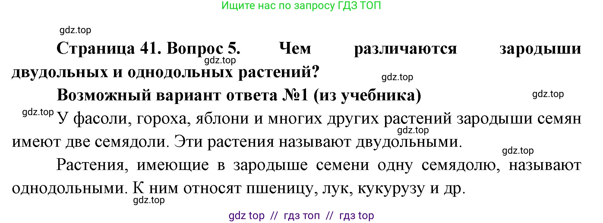 Биология, 6 класс Учебник, авторы: Пасечник Владимир Васильевич, Суматохин Сергей Витальевич, Гапонюк Зоя Георгиевна, Швецов Глеб Геннадьевич, издательство Просвещение, Москва, 2023, белого цвета, страница 41, номер 5, Решение 3