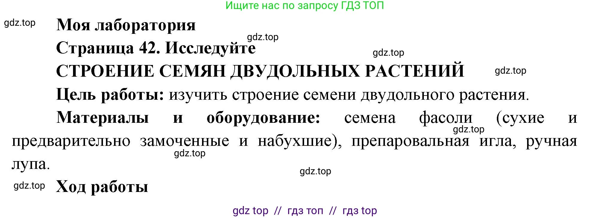 Биология, 6 класс Учебник, авторы: Пасечник Владимир Васильевич, Суматохин Сергей Витальевич, Гапонюк Зоя Георгиевна, Швецов Глеб Геннадьевич, издательство Просвещение, Москва, 2023, белого цвета, страница 42, Решение 3