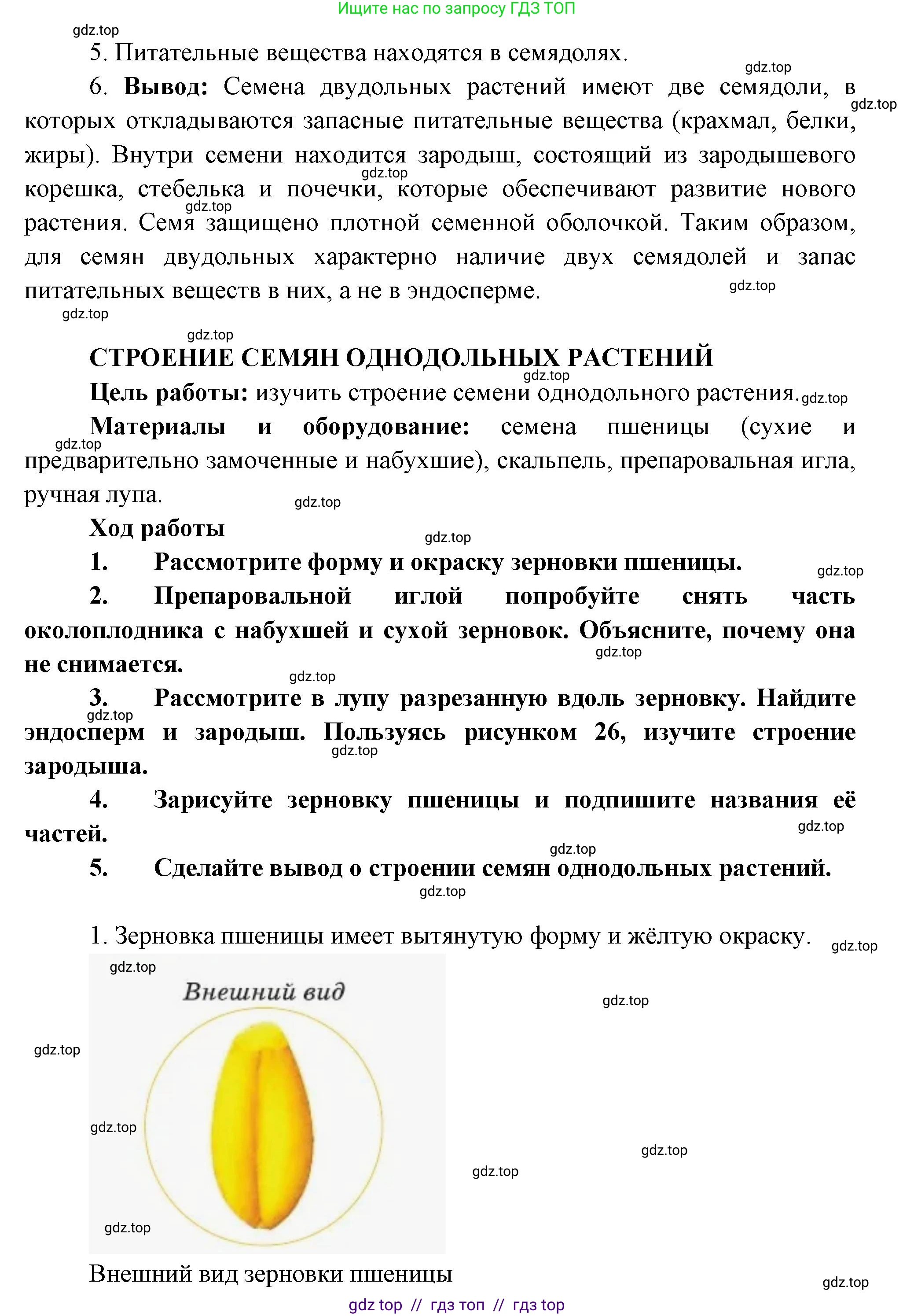 Биология, 6 класс Учебник, авторы: Пасечник Владимир Васильевич, Суматохин Сергей Витальевич, Гапонюк Зоя Георгиевна, Швецов Глеб Геннадьевич, издательство Просвещение, Москва, 2023, белого цвета, страница 42, Решение 3 (продолжение 4)
