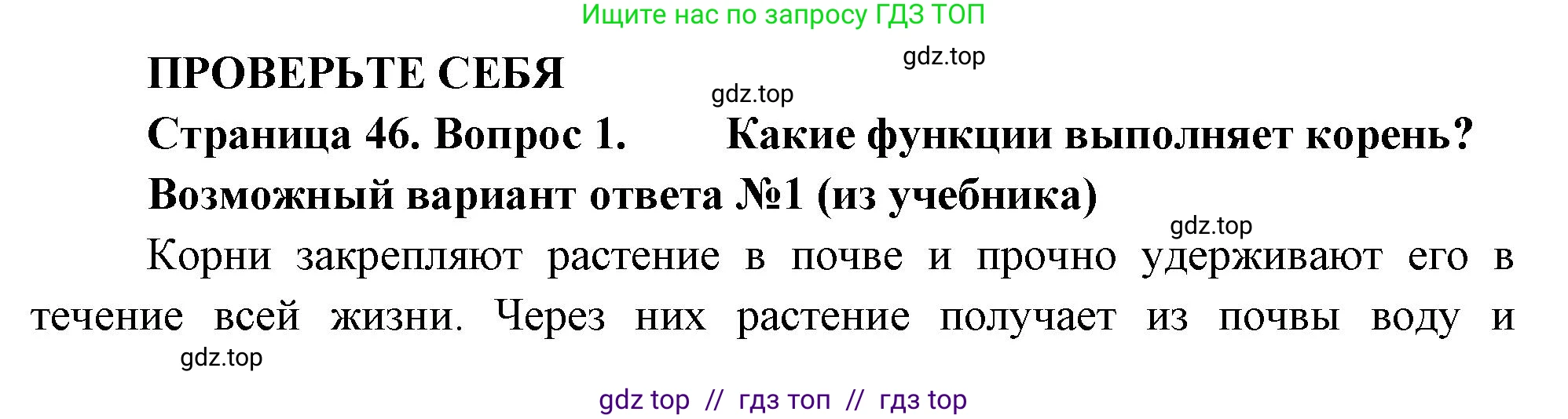 Биология, 6 класс Учебник, авторы: Пасечник Владимир Васильевич, Суматохин Сергей Витальевич, Гапонюк Зоя Георгиевна, Швецов Глеб Геннадьевич, издательство Просвещение, Москва, 2023, белого цвета, страница 46, номер 1, Решение 3