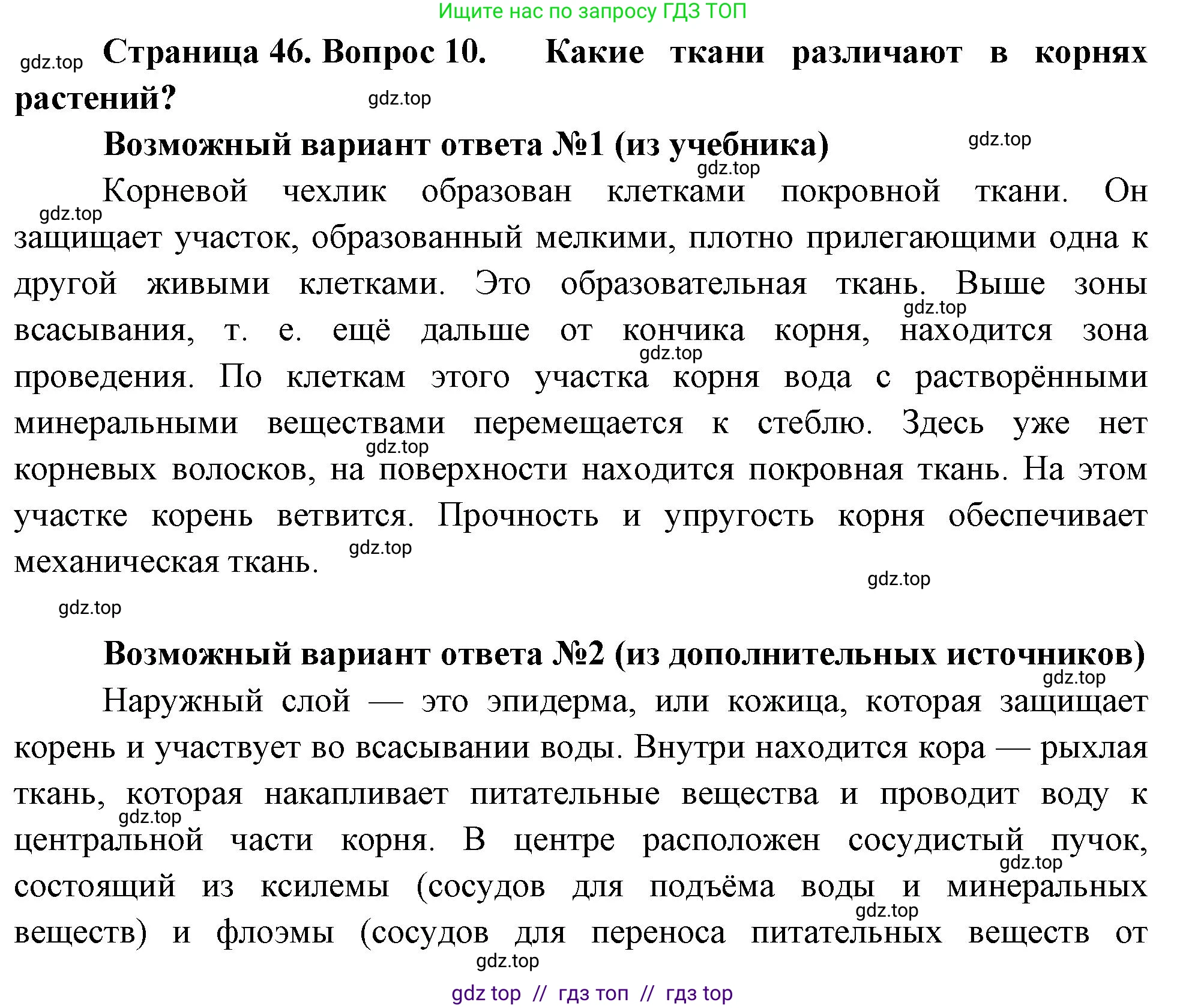 Биология, 6 класс Учебник, авторы: Пасечник Владимир Васильевич, Суматохин Сергей Витальевич, Гапонюк Зоя Георгиевна, Швецов Глеб Геннадьевич, издательство Просвещение, Москва, 2023, белого цвета, страница 46, номер 10, Решение 3