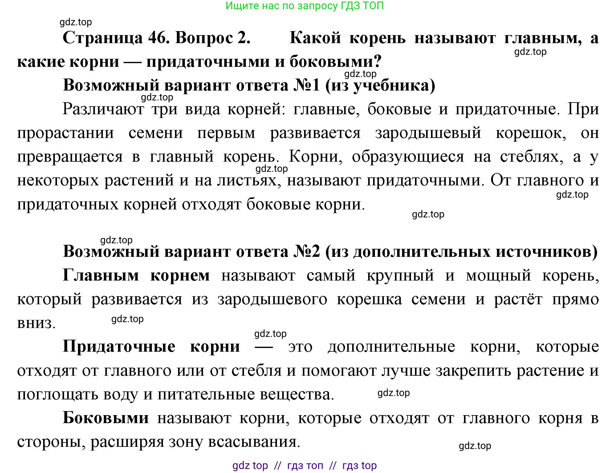 Биология, 6 класс Учебник, авторы: Пасечник Владимир Васильевич, Суматохин Сергей Витальевич, Гапонюк Зоя Георгиевна, Швецов Глеб Геннадьевич, издательство Просвещение, Москва, 2023, белого цвета, страница 46, номер 2, Решение 3