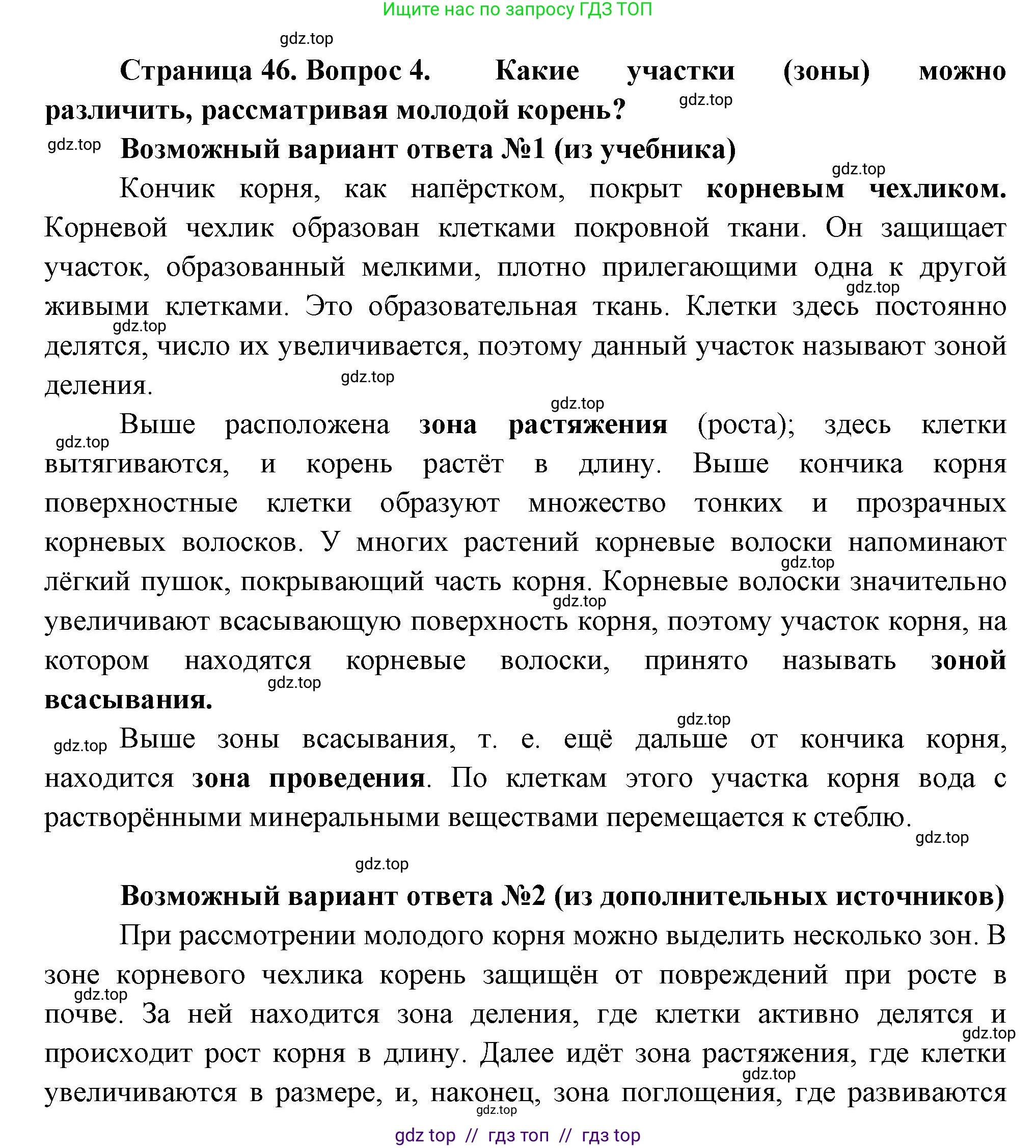 Биология, 6 класс Учебник, авторы: Пасечник Владимир Васильевич, Суматохин Сергей Витальевич, Гапонюк Зоя Георгиевна, Швецов Глеб Геннадьевич, издательство Просвещение, Москва, 2023, белого цвета, страница 46, номер 4, Решение 3
