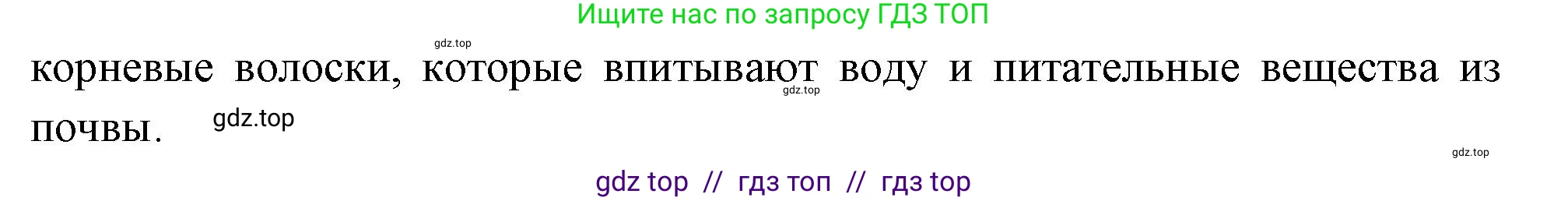 Биология, 6 класс Учебник, авторы: Пасечник Владимир Васильевич, Суматохин Сергей Витальевич, Гапонюк Зоя Георгиевна, Швецов Глеб Геннадьевич, издательство Просвещение, Москва, 2023, белого цвета, страница 46, номер 4, Решение 3 (продолжение 2)
