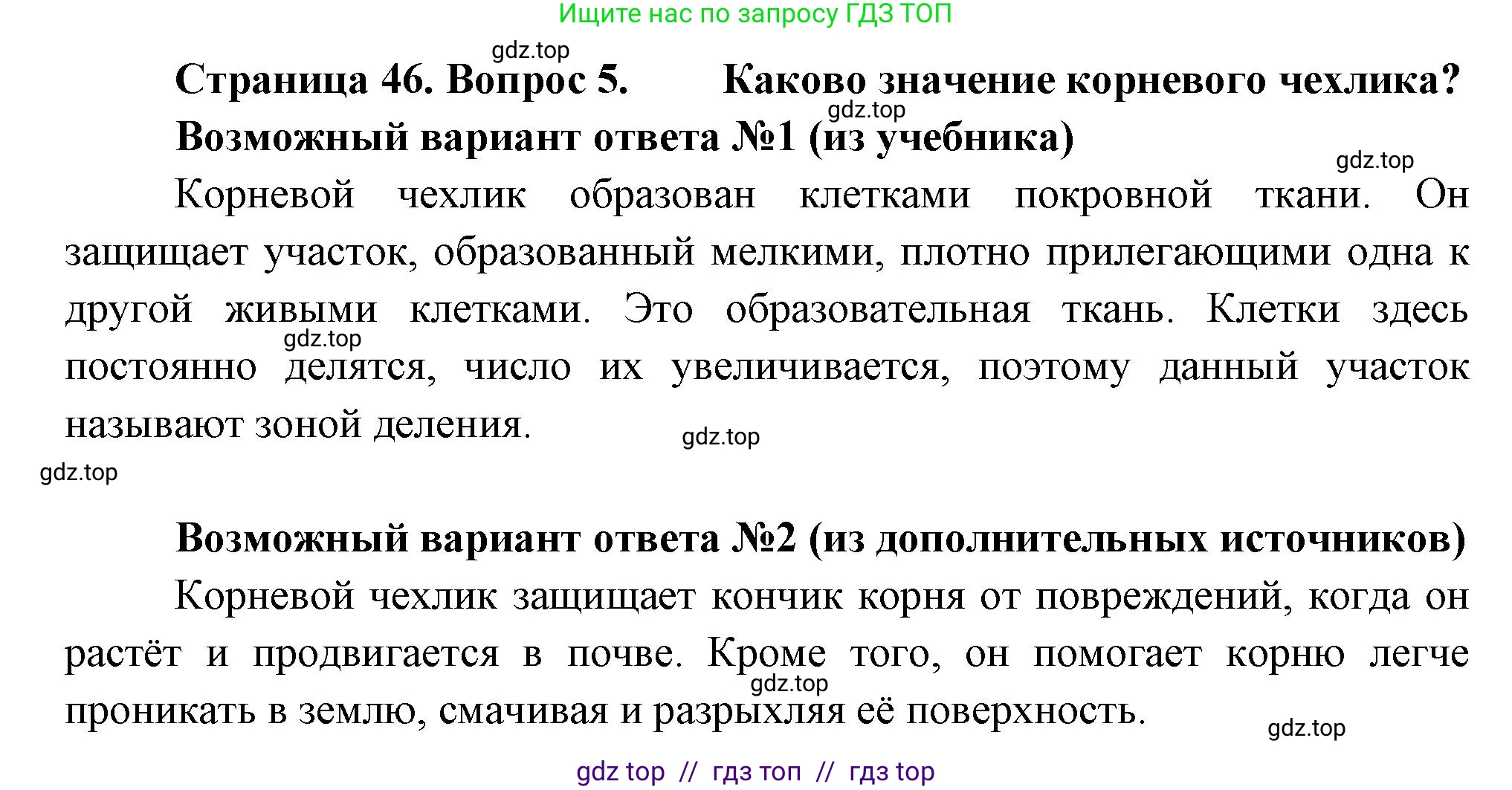 Биология, 6 класс Учебник, авторы: Пасечник Владимир Васильевич, Суматохин Сергей Витальевич, Гапонюк Зоя Георгиевна, Швецов Глеб Геннадьевич, издательство Просвещение, Москва, 2023, белого цвета, страница 46, номер 5, Решение 3