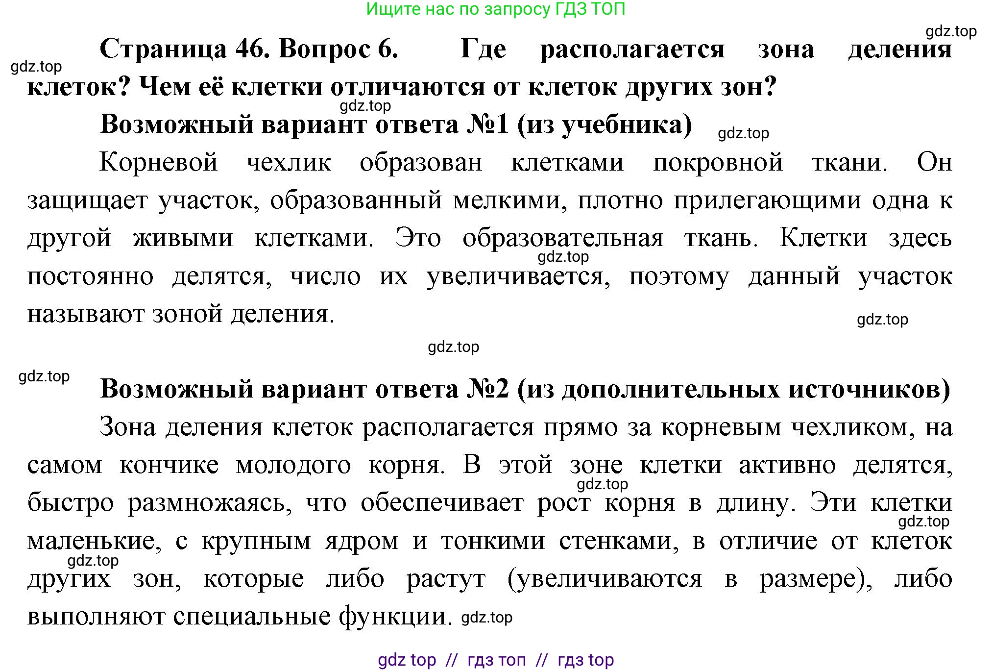Биология, 6 класс Учебник, авторы: Пасечник Владимир Васильевич, Суматохин Сергей Витальевич, Гапонюк Зоя Георгиевна, Швецов Глеб Геннадьевич, издательство Просвещение, Москва, 2023, белого цвета, страница 46, номер 6, Решение 3