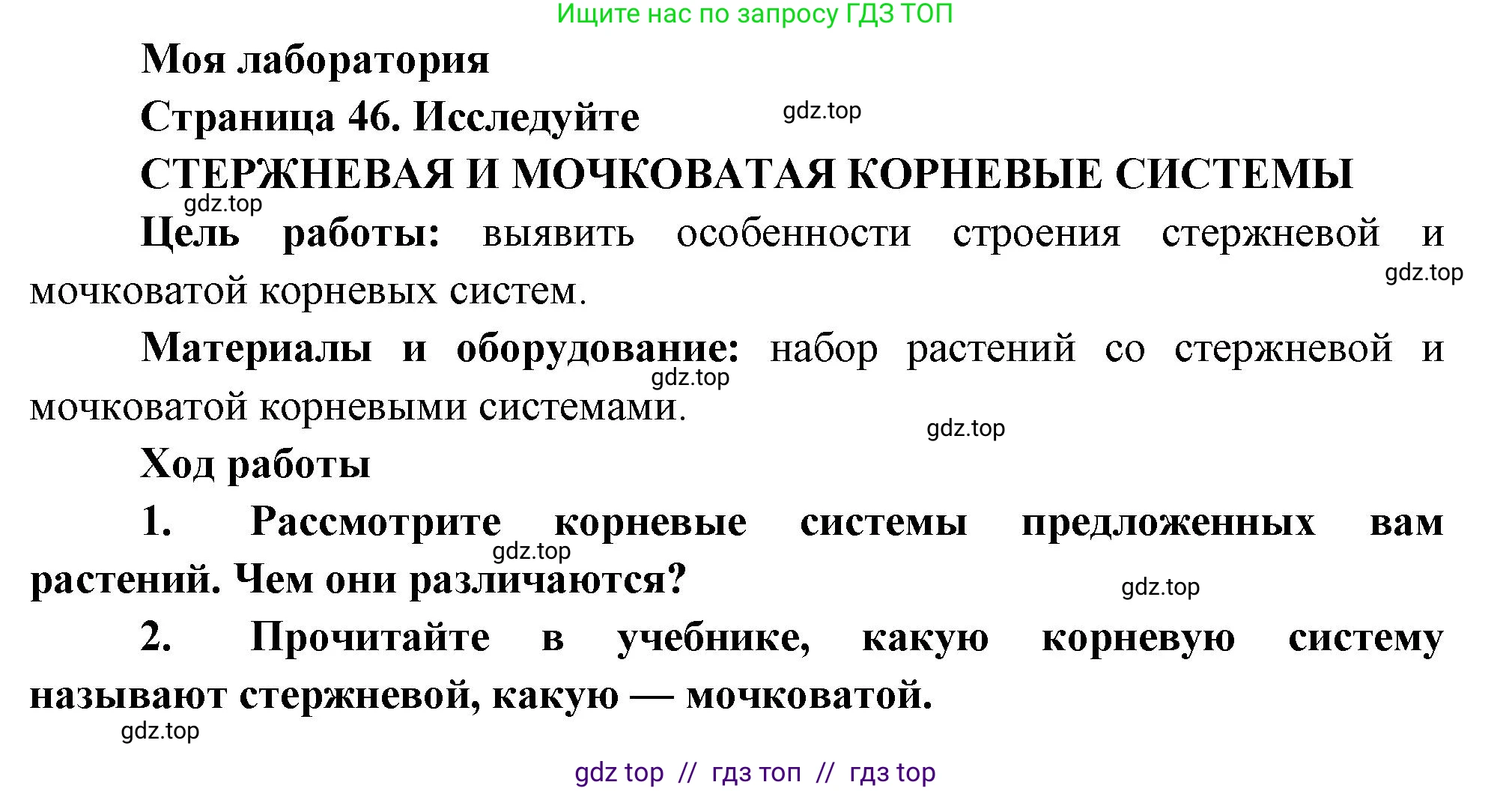 Биология, 6 класс Учебник, авторы: Пасечник Владимир Васильевич, Суматохин Сергей Витальевич, Гапонюк Зоя Георгиевна, Швецов Глеб Геннадьевич, издательство Просвещение, Москва, 2023, белого цвета, страница 47, Решение 3