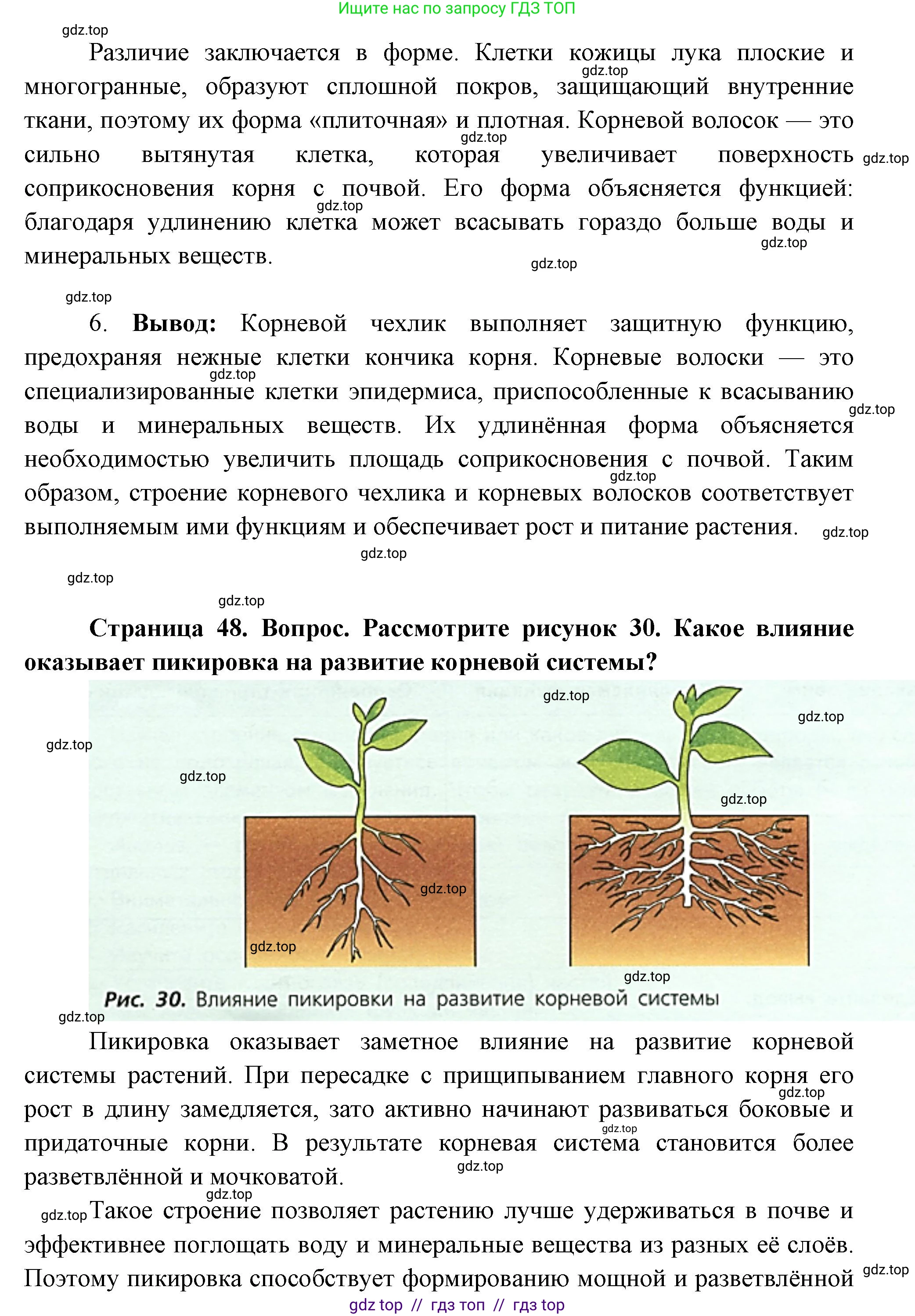 Биология, 6 класс Учебник, авторы: Пасечник Владимир Васильевич, Суматохин Сергей Витальевич, Гапонюк Зоя Георгиевна, Швецов Глеб Геннадьевич, издательство Просвещение, Москва, 2023, белого цвета, страница 47, Решение 3 (продолжение 6)
