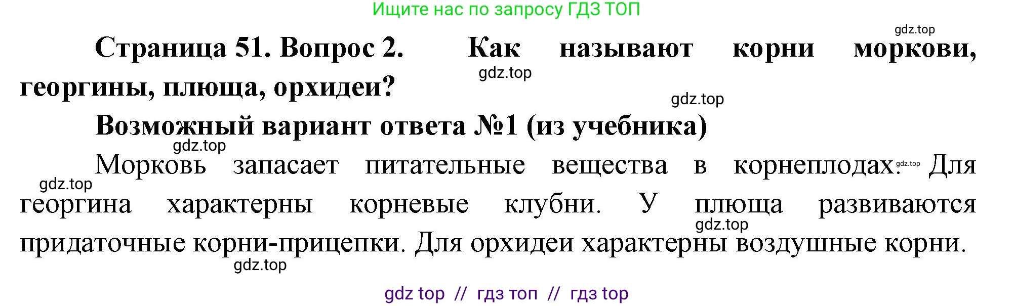 Биология, 6 класс Учебник, авторы: Пасечник Владимир Васильевич, Суматохин Сергей Витальевич, Гапонюк Зоя Георгиевна, Швецов Глеб Геннадьевич, издательство Просвещение, Москва, 2023, белого цвета, страница 51, номер 2, Решение 3