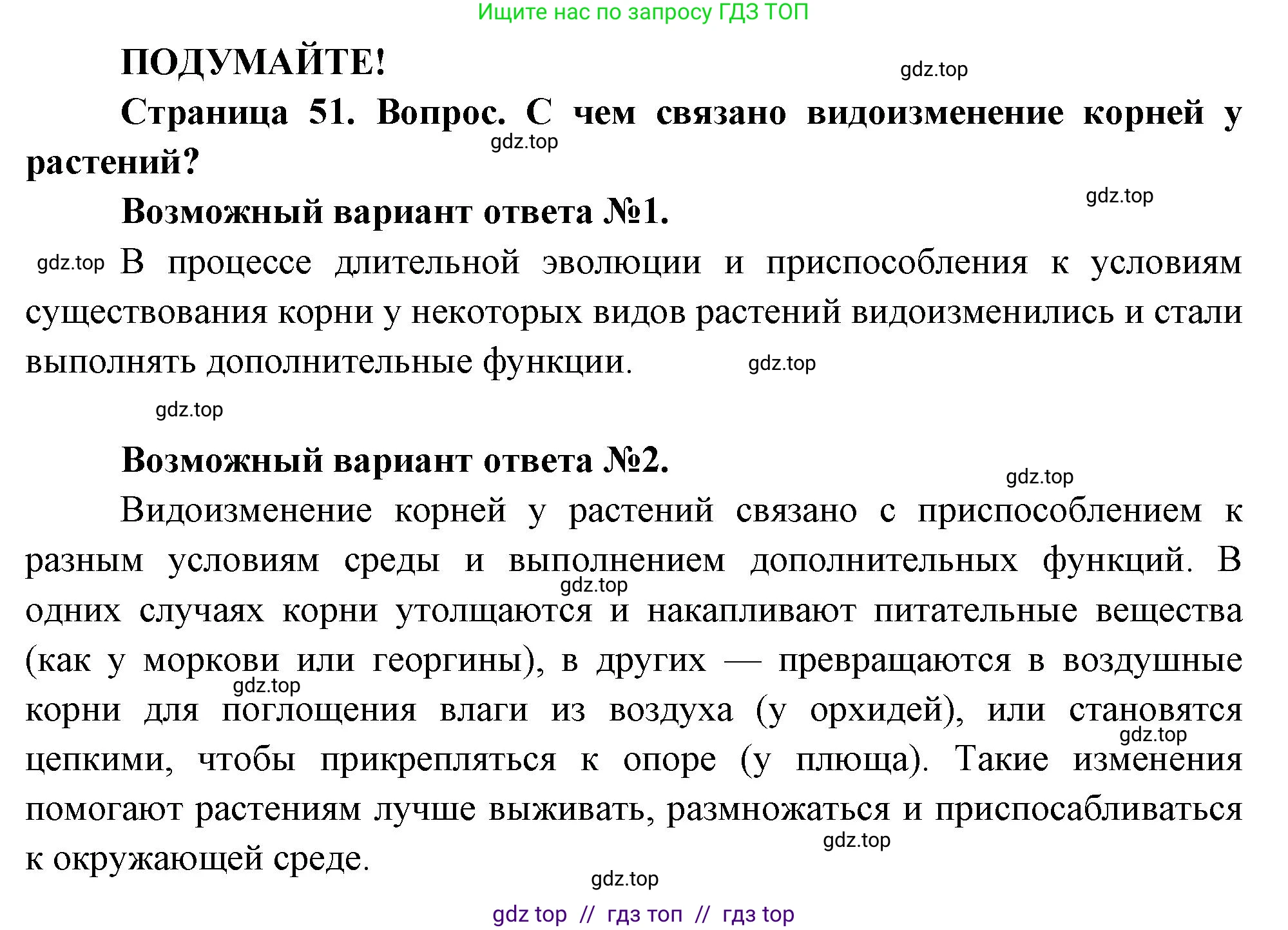 Биология, 6 класс Учебник, авторы: Пасечник Владимир Васильевич, Суматохин Сергей Витальевич, Гапонюк Зоя Георгиевна, Швецов Глеб Геннадьевич, издательство Просвещение, Москва, 2023, белого цвета, страница 51, Решение 3