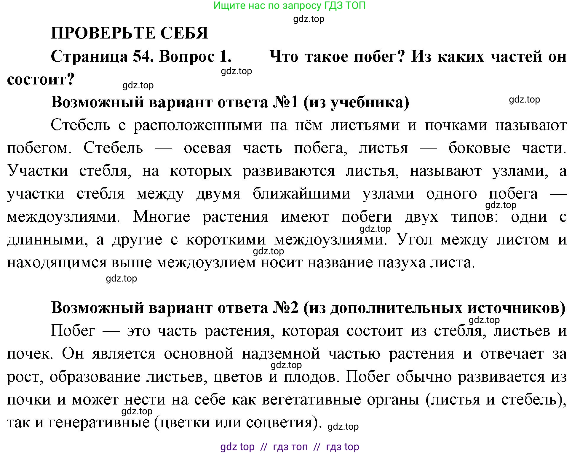 Биология, 6 класс Учебник, авторы: Пасечник Владимир Васильевич, Суматохин Сергей Витальевич, Гапонюк Зоя Георгиевна, Швецов Глеб Геннадьевич, издательство Просвещение, Москва, 2023, белого цвета, страница 54, номер 1, Решение 3