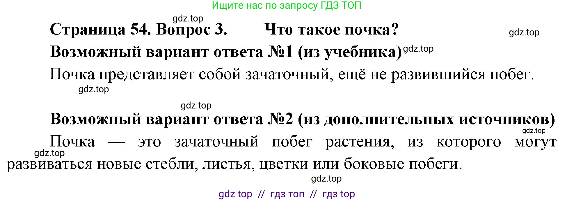 Биология, 6 класс Учебник, авторы: Пасечник Владимир Васильевич, Суматохин Сергей Витальевич, Гапонюк Зоя Георгиевна, Швецов Глеб Геннадьевич, издательство Просвещение, Москва, 2023, белого цвета, страница 54, номер 3, Решение 3