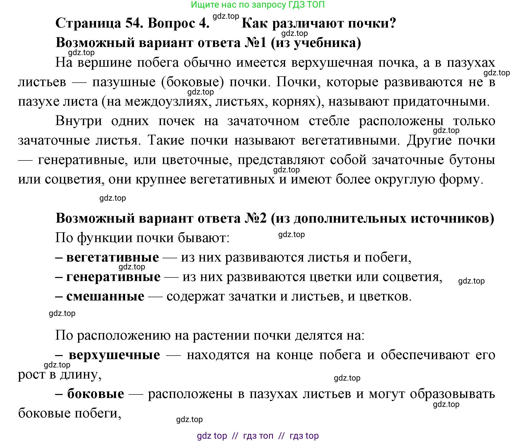 Биология, 6 класс Учебник, авторы: Пасечник Владимир Васильевич, Суматохин Сергей Витальевич, Гапонюк Зоя Георгиевна, Швецов Глеб Геннадьевич, издательство Просвещение, Москва, 2023, белого цвета, страница 54, номер 4, Решение 3