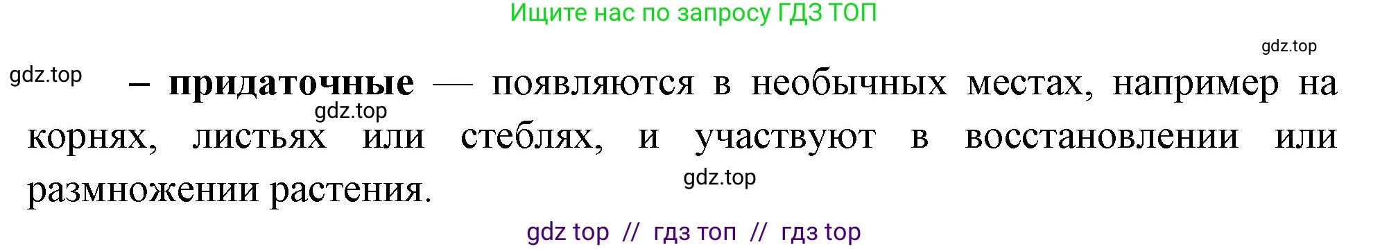 Биология, 6 класс Учебник, авторы: Пасечник Владимир Васильевич, Суматохин Сергей Витальевич, Гапонюк Зоя Георгиевна, Швецов Глеб Геннадьевич, издательство Просвещение, Москва, 2023, белого цвета, страница 54, номер 4, Решение 3 (продолжение 2)