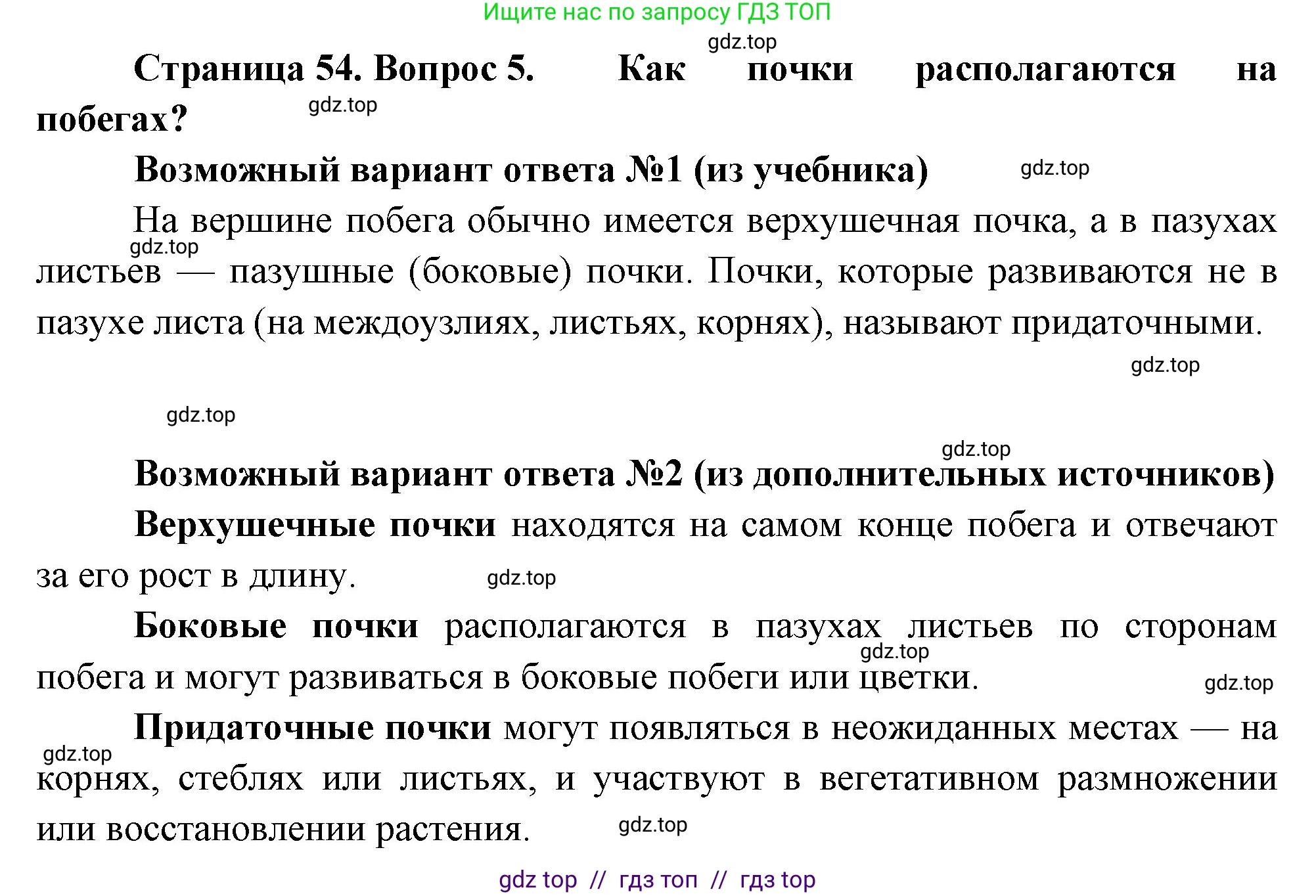 Биология, 6 класс Учебник, авторы: Пасечник Владимир Васильевич, Суматохин Сергей Витальевич, Гапонюк Зоя Георгиевна, Швецов Глеб Геннадьевич, издательство Просвещение, Москва, 2023, белого цвета, страница 54, номер 5, Решение 3
