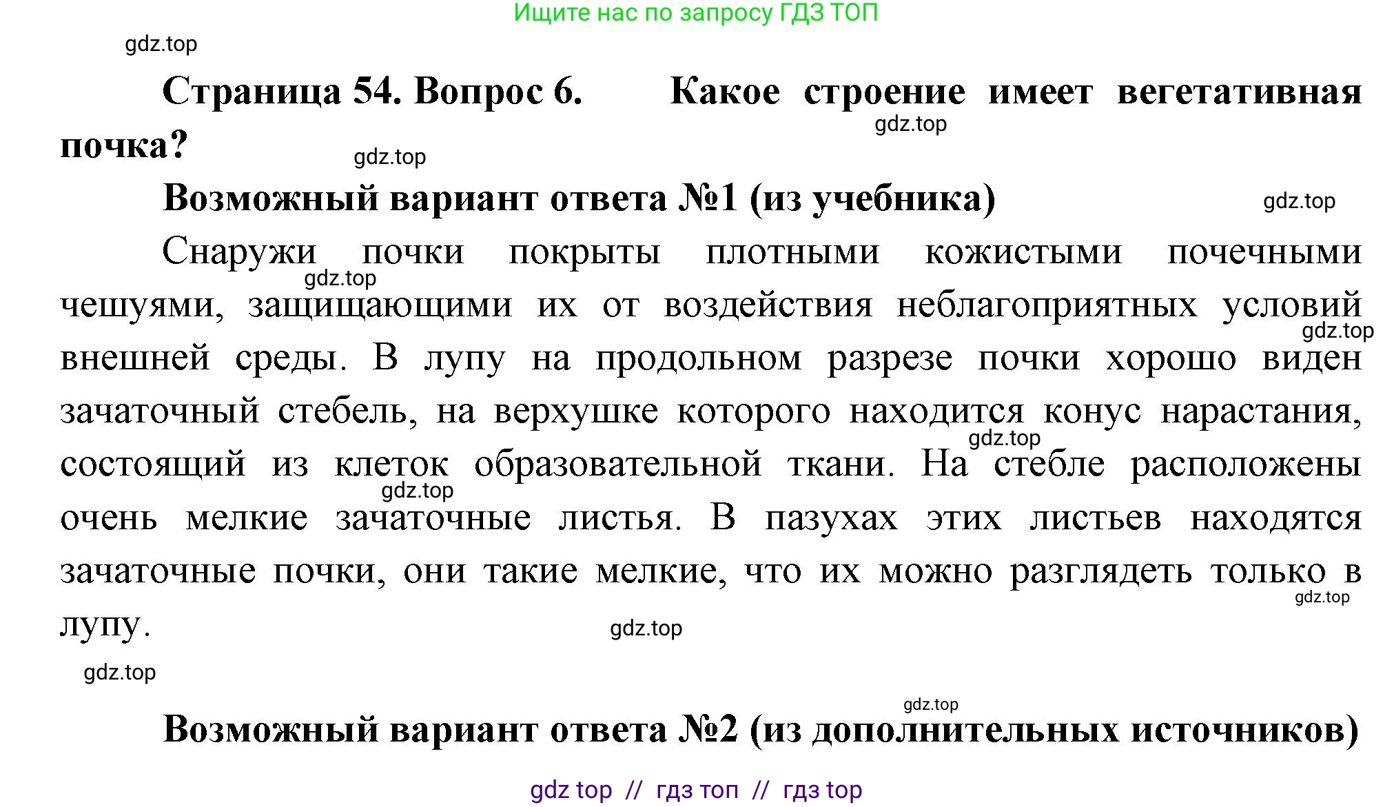 Биология, 6 класс Учебник, авторы: Пасечник Владимир Васильевич, Суматохин Сергей Витальевич, Гапонюк Зоя Георгиевна, Швецов Глеб Геннадьевич, издательство Просвещение, Москва, 2023, белого цвета, страница 54, номер 6, Решение 3