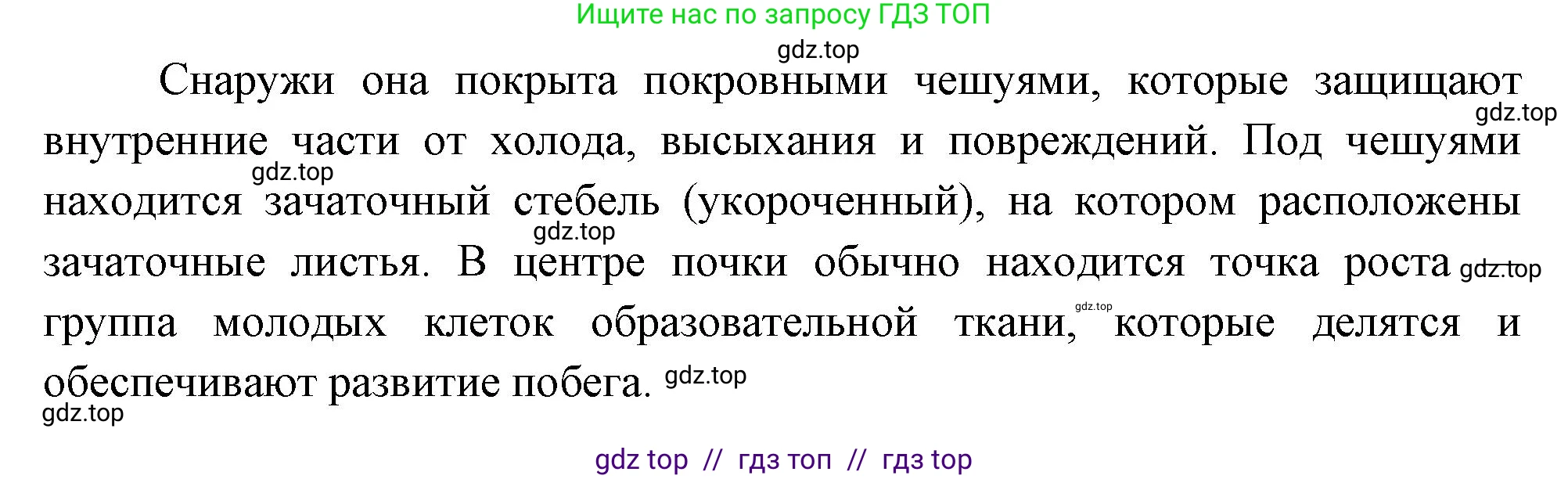 Биология, 6 класс Учебник, авторы: Пасечник Владимир Васильевич, Суматохин Сергей Витальевич, Гапонюк Зоя Георгиевна, Швецов Глеб Геннадьевич, издательство Просвещение, Москва, 2023, белого цвета, страница 54, номер 6, Решение 3 (продолжение 2)