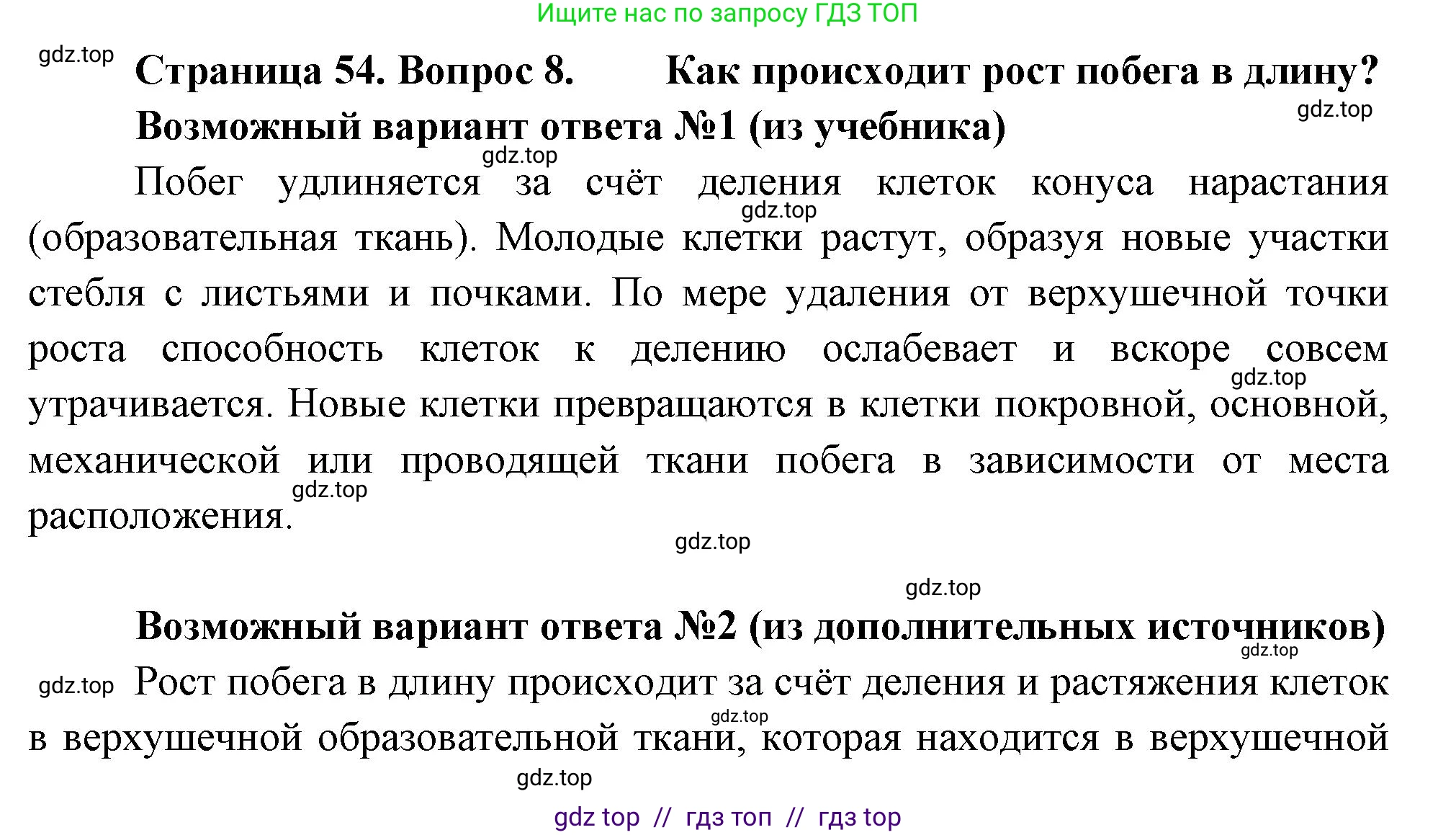 Биология, 6 класс Учебник, авторы: Пасечник Владимир Васильевич, Суматохин Сергей Витальевич, Гапонюк Зоя Георгиевна, Швецов Глеб Геннадьевич, издательство Просвещение, Москва, 2023, белого цвета, страница 54, номер 8, Решение 3