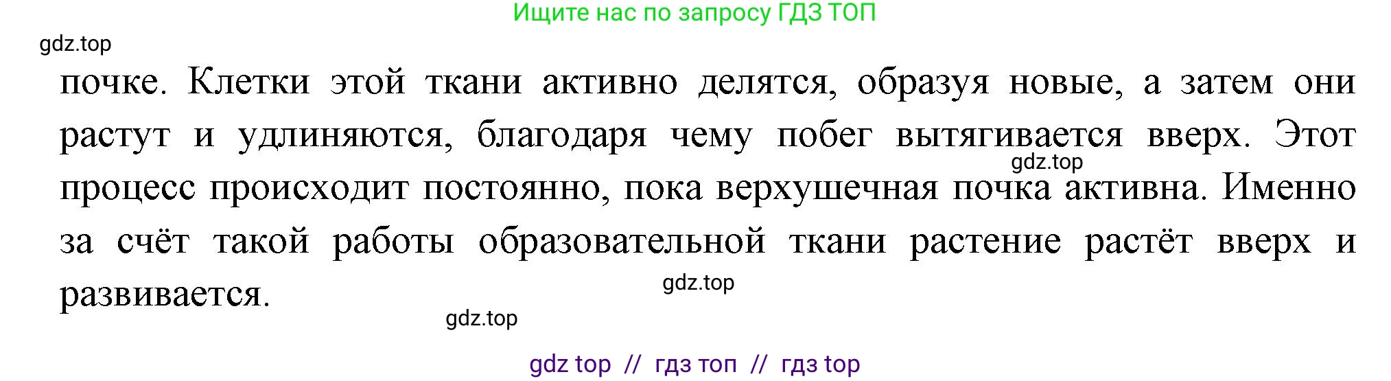 Биология, 6 класс Учебник, авторы: Пасечник Владимир Васильевич, Суматохин Сергей Витальевич, Гапонюк Зоя Георгиевна, Швецов Глеб Геннадьевич, издательство Просвещение, Москва, 2023, белого цвета, страница 54, номер 8, Решение 3 (продолжение 2)