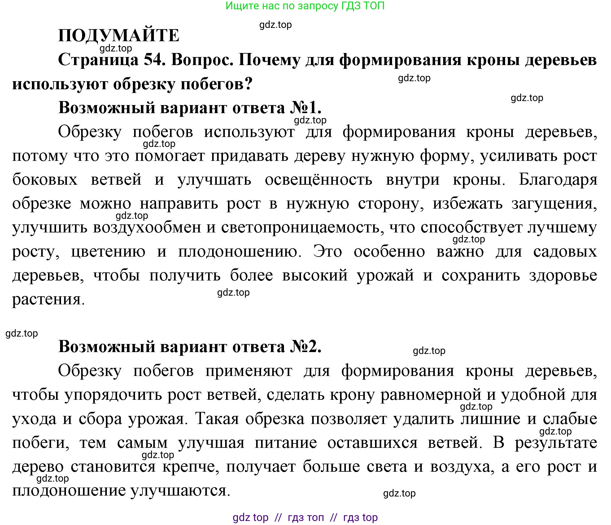 Биология, 6 класс Учебник, авторы: Пасечник Владимир Васильевич, Суматохин Сергей Витальевич, Гапонюк Зоя Георгиевна, Швецов Глеб Геннадьевич, издательство Просвещение, Москва, 2023, белого цвета, страница 54, Решение 3