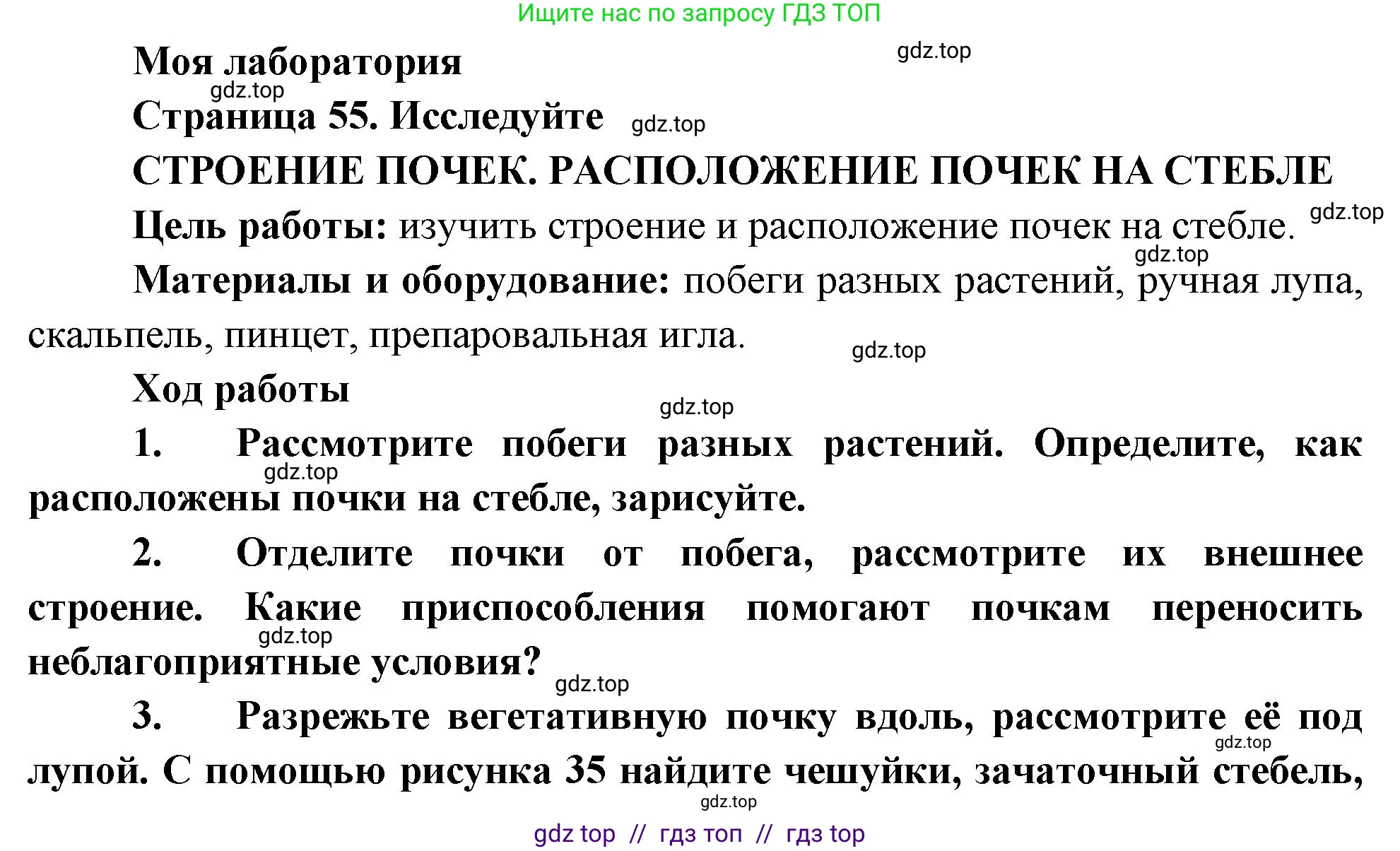 Биология, 6 класс Учебник, авторы: Пасечник Владимир Васильевич, Суматохин Сергей Витальевич, Гапонюк Зоя Георгиевна, Швецов Глеб Геннадьевич, издательство Просвещение, Москва, 2023, белого цвета, страница 55, Решение 3