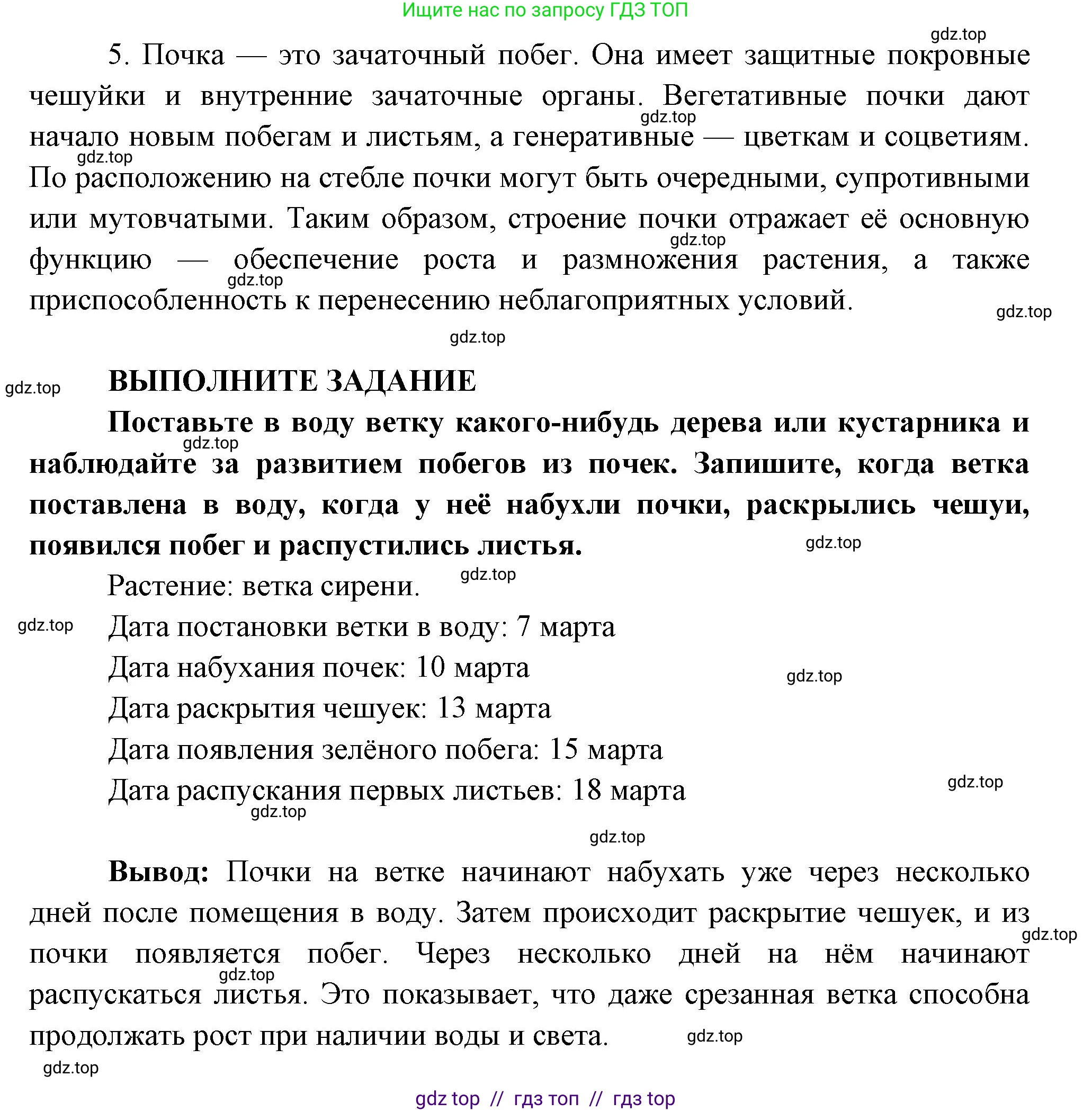 Биология, 6 класс Учебник, авторы: Пасечник Владимир Васильевич, Суматохин Сергей Витальевич, Гапонюк Зоя Георгиевна, Швецов Глеб Геннадьевич, издательство Просвещение, Москва, 2023, белого цвета, страница 55, Решение 3 (продолжение 4)