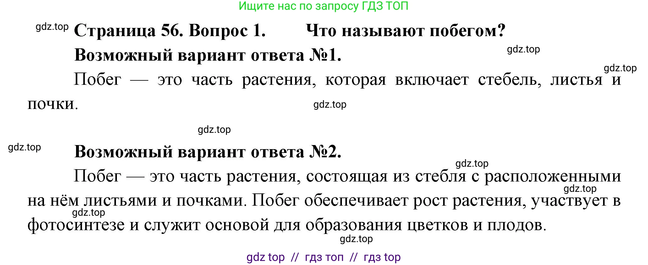 Биология, 6 класс Учебник, авторы: Пасечник Владимир Васильевич, Суматохин Сергей Витальевич, Гапонюк Зоя Георгиевна, Швецов Глеб Геннадьевич, издательство Просвещение, Москва, 2023, белого цвета, страница 56, номер 1, Решение 3