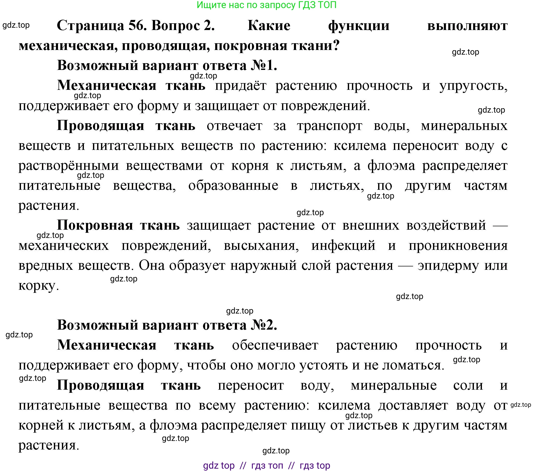 Биология, 6 класс Учебник, авторы: Пасечник Владимир Васильевич, Суматохин Сергей Витальевич, Гапонюк Зоя Георгиевна, Швецов Глеб Геннадьевич, издательство Просвещение, Москва, 2023, белого цвета, страница 56, номер 2, Решение 3