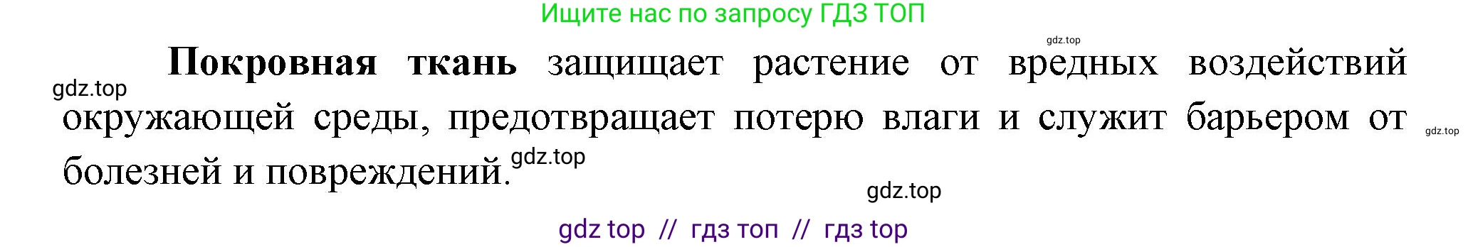 Биология, 6 класс Учебник, авторы: Пасечник Владимир Васильевич, Суматохин Сергей Витальевич, Гапонюк Зоя Георгиевна, Швецов Глеб Геннадьевич, издательство Просвещение, Москва, 2023, белого цвета, страница 56, номер 2, Решение 3 (продолжение 2)
