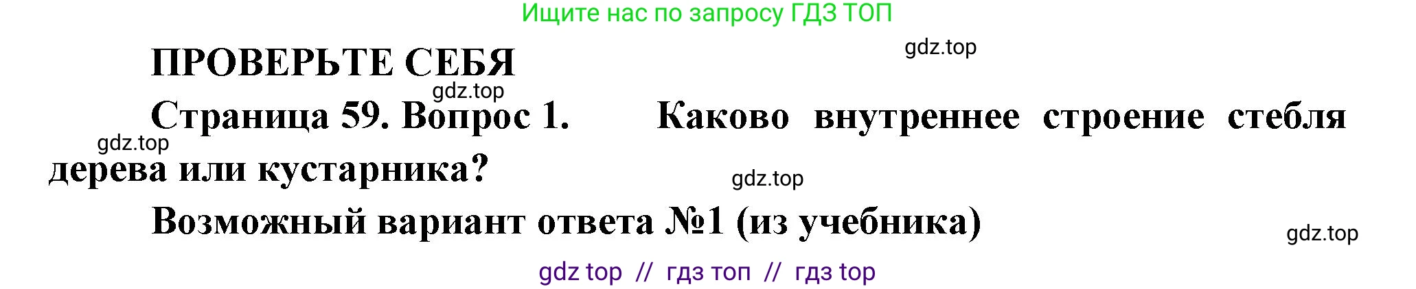 Биология, 6 класс Учебник, авторы: Пасечник Владимир Васильевич, Суматохин Сергей Витальевич, Гапонюк Зоя Георгиевна, Швецов Глеб Геннадьевич, издательство Просвещение, Москва, 2023, белого цвета, страница 59, номер 1, Решение 3