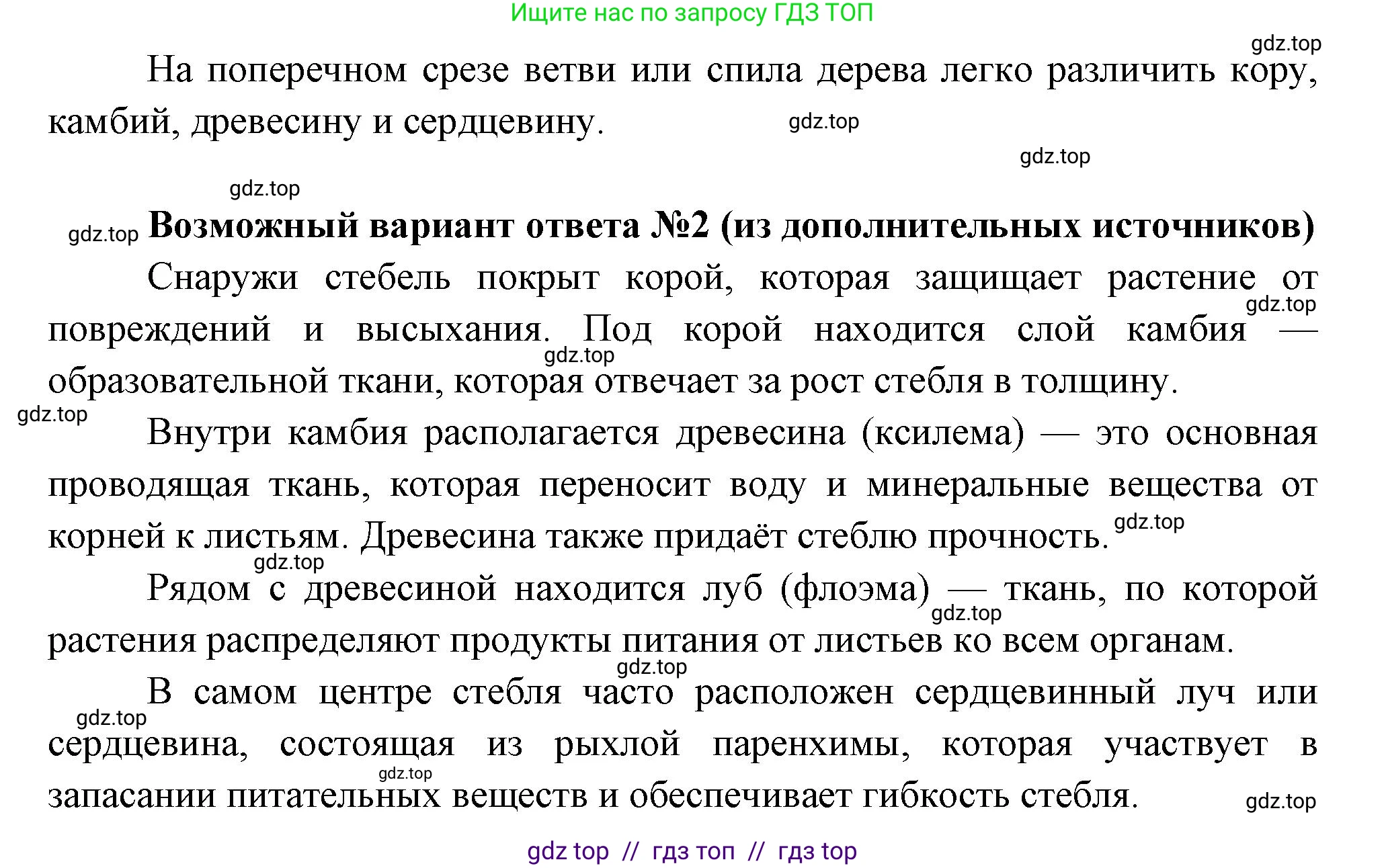 Биология, 6 класс Учебник, авторы: Пасечник Владимир Васильевич, Суматохин Сергей Витальевич, Гапонюк Зоя Георгиевна, Швецов Глеб Геннадьевич, издательство Просвещение, Москва, 2023, белого цвета, страница 59, номер 1, Решение 3 (продолжение 2)