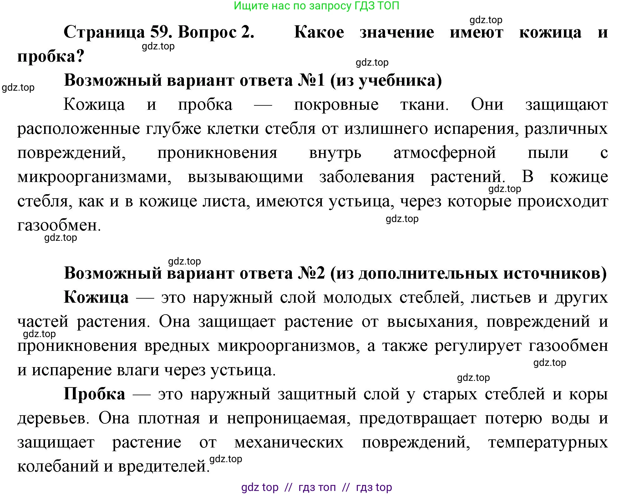 Биология, 6 класс Учебник, авторы: Пасечник Владимир Васильевич, Суматохин Сергей Витальевич, Гапонюк Зоя Георгиевна, Швецов Глеб Геннадьевич, издательство Просвещение, Москва, 2023, белого цвета, страница 59, номер 2, Решение 3