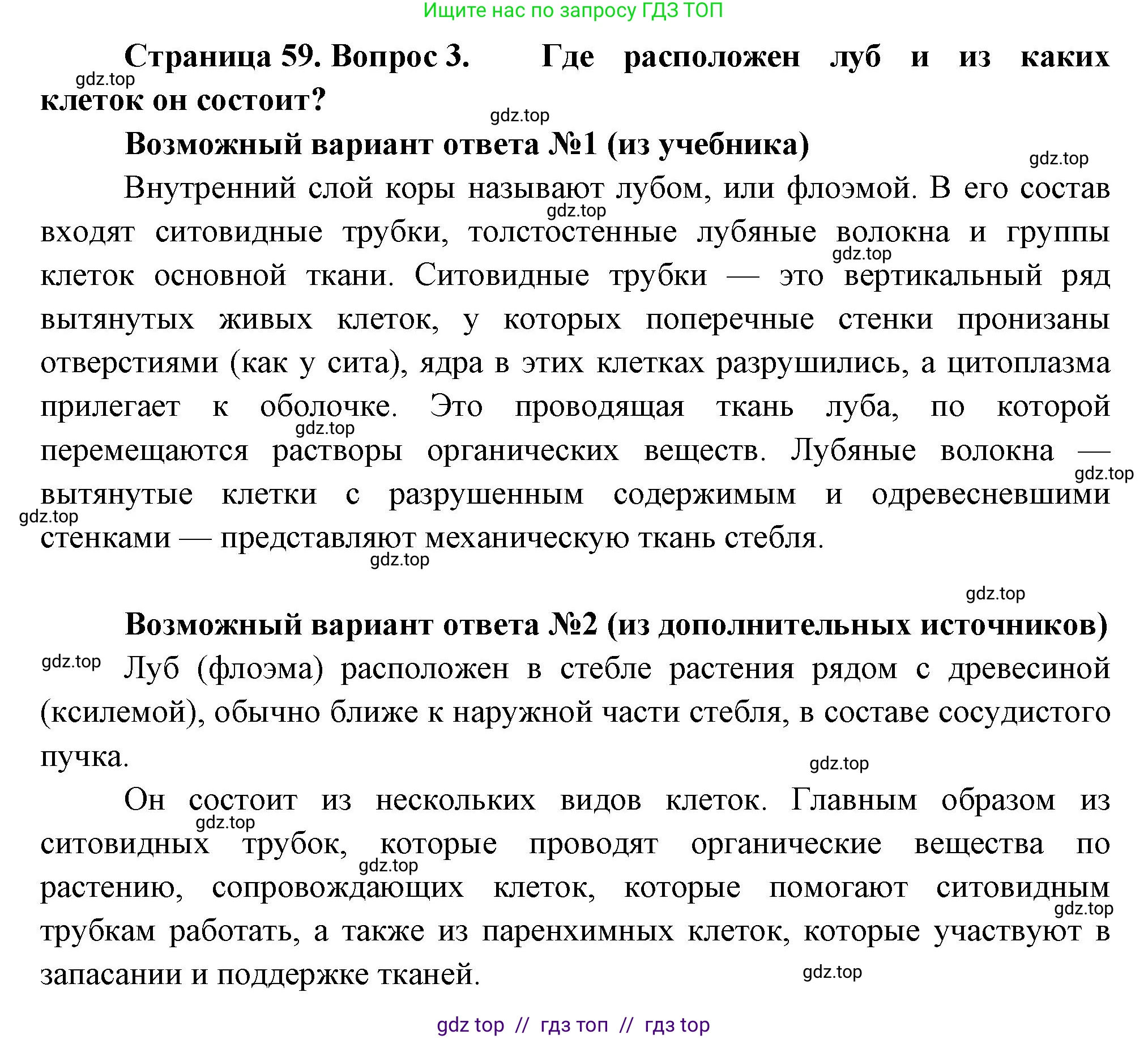 Биология, 6 класс Учебник, авторы: Пасечник Владимир Васильевич, Суматохин Сергей Витальевич, Гапонюк Зоя Георгиевна, Швецов Глеб Геннадьевич, издательство Просвещение, Москва, 2023, белого цвета, страница 59, номер 3, Решение 3