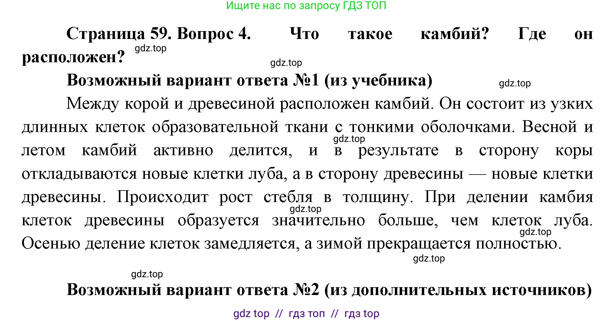 Биология, 6 класс Учебник, авторы: Пасечник Владимир Васильевич, Суматохин Сергей Витальевич, Гапонюк Зоя Георгиевна, Швецов Глеб Геннадьевич, издательство Просвещение, Москва, 2023, белого цвета, страница 59, номер 4, Решение 3