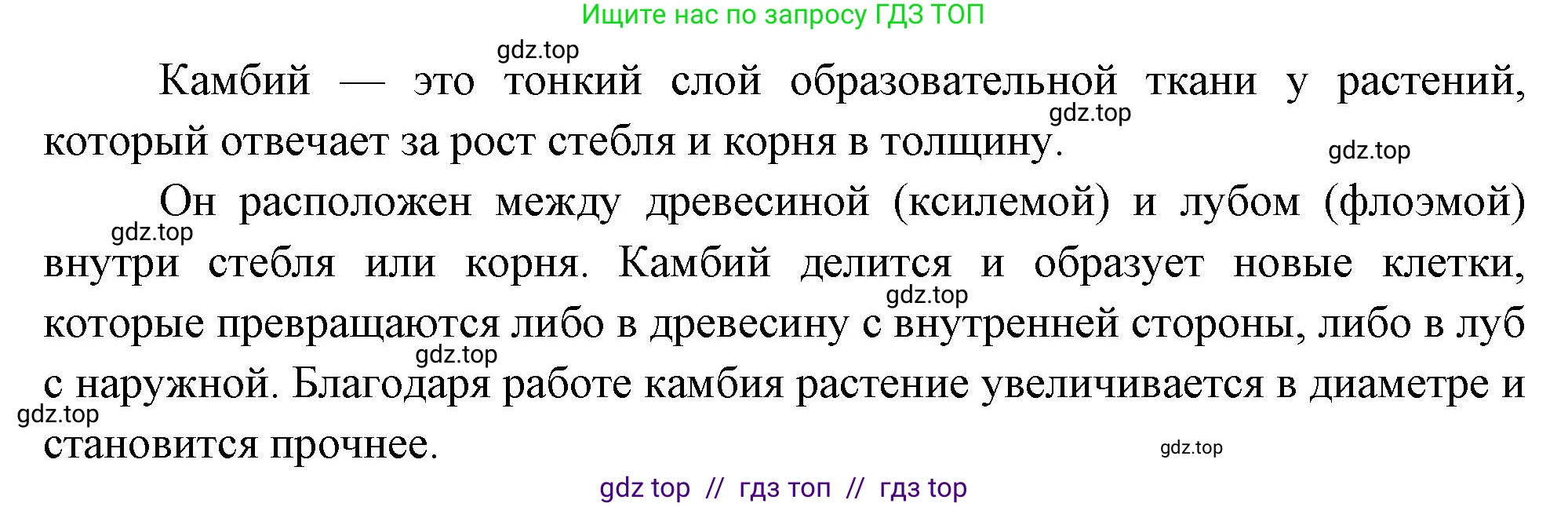 Биология, 6 класс Учебник, авторы: Пасечник Владимир Васильевич, Суматохин Сергей Витальевич, Гапонюк Зоя Георгиевна, Швецов Глеб Геннадьевич, издательство Просвещение, Москва, 2023, белого цвета, страница 59, номер 4, Решение 3 (продолжение 2)