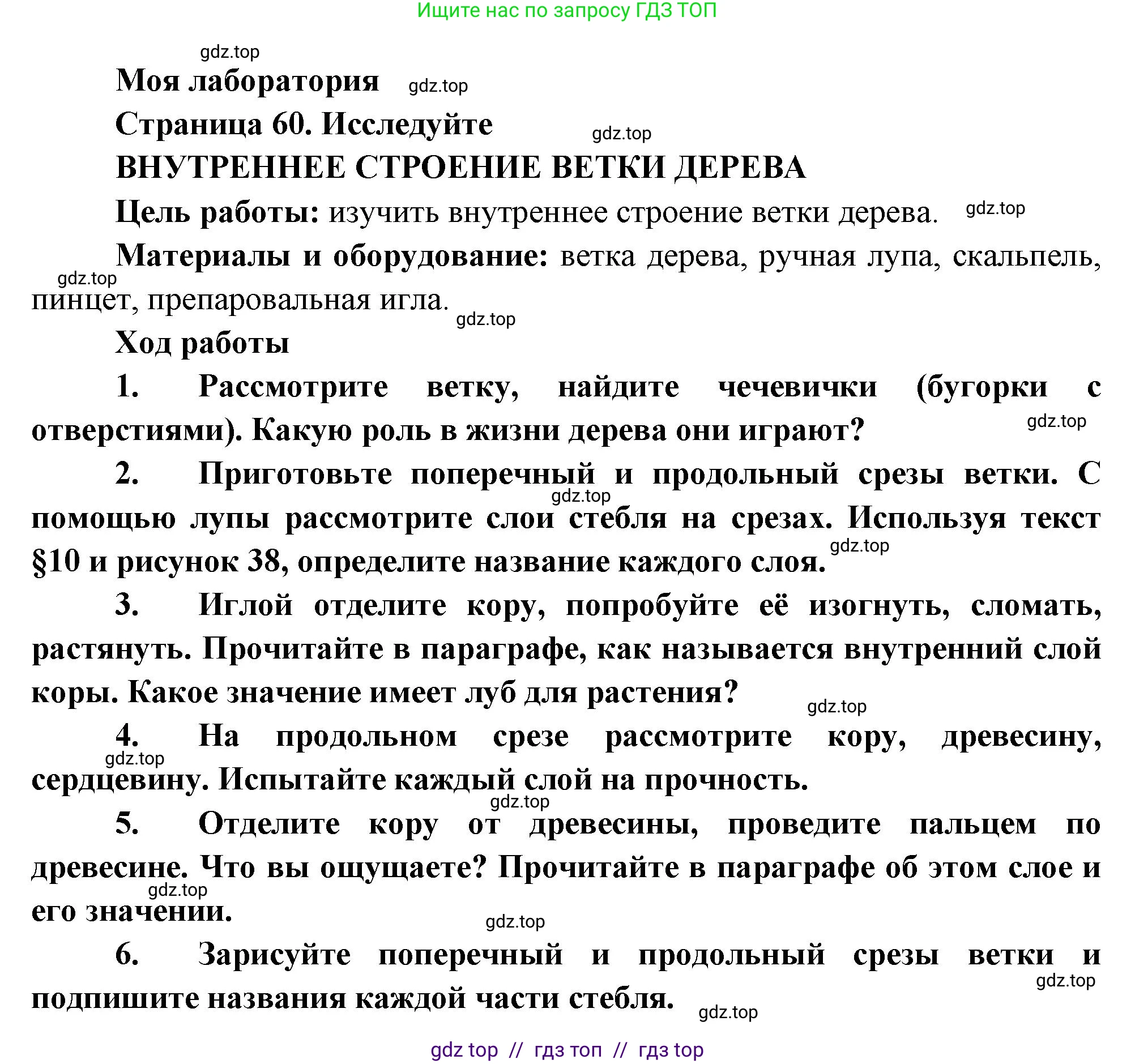 Биология, 6 класс Учебник, авторы: Пасечник Владимир Васильевич, Суматохин Сергей Витальевич, Гапонюк Зоя Георгиевна, Швецов Глеб Геннадьевич, издательство Просвещение, Москва, 2023, белого цвета, страница 60, Решение 3